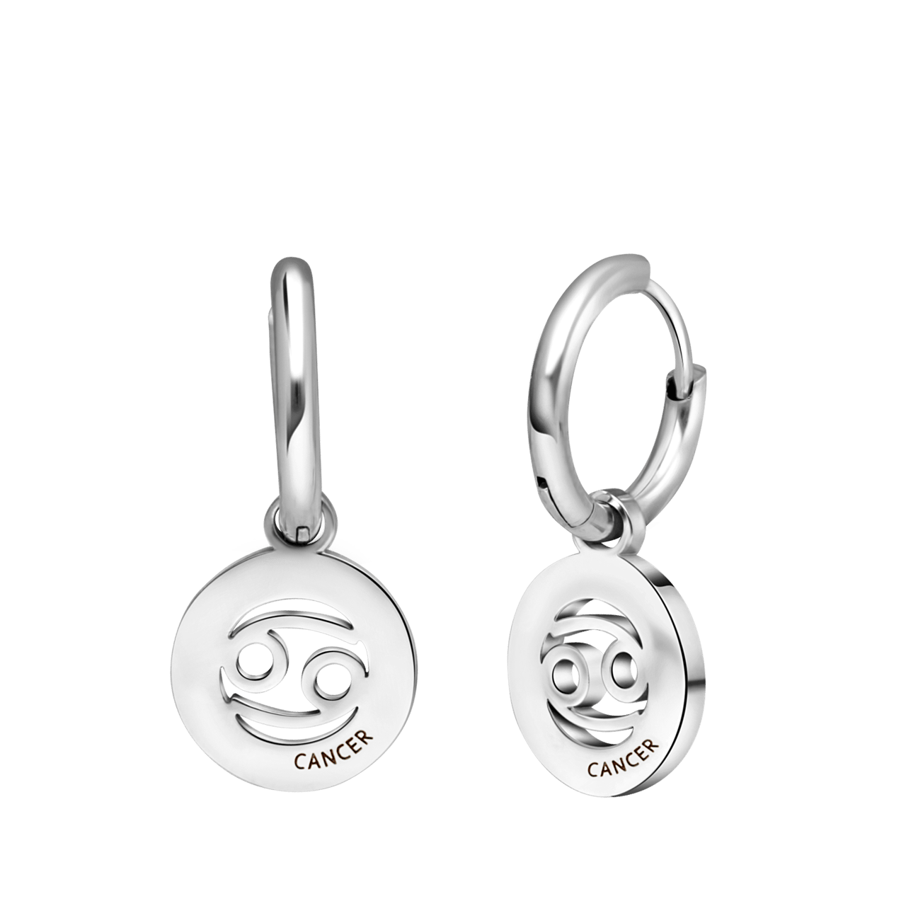 Stainless steel oorbellen met sterrenbeeld kreeft