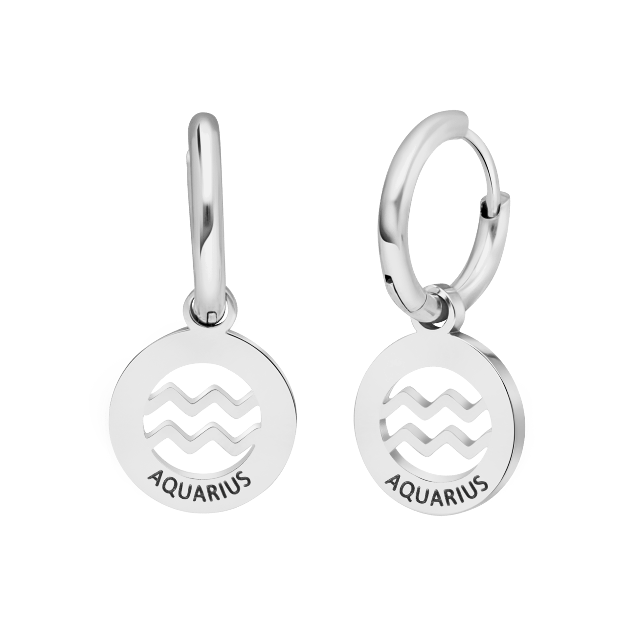 Stainless steel oorbellen met sterrenbeeld waterman