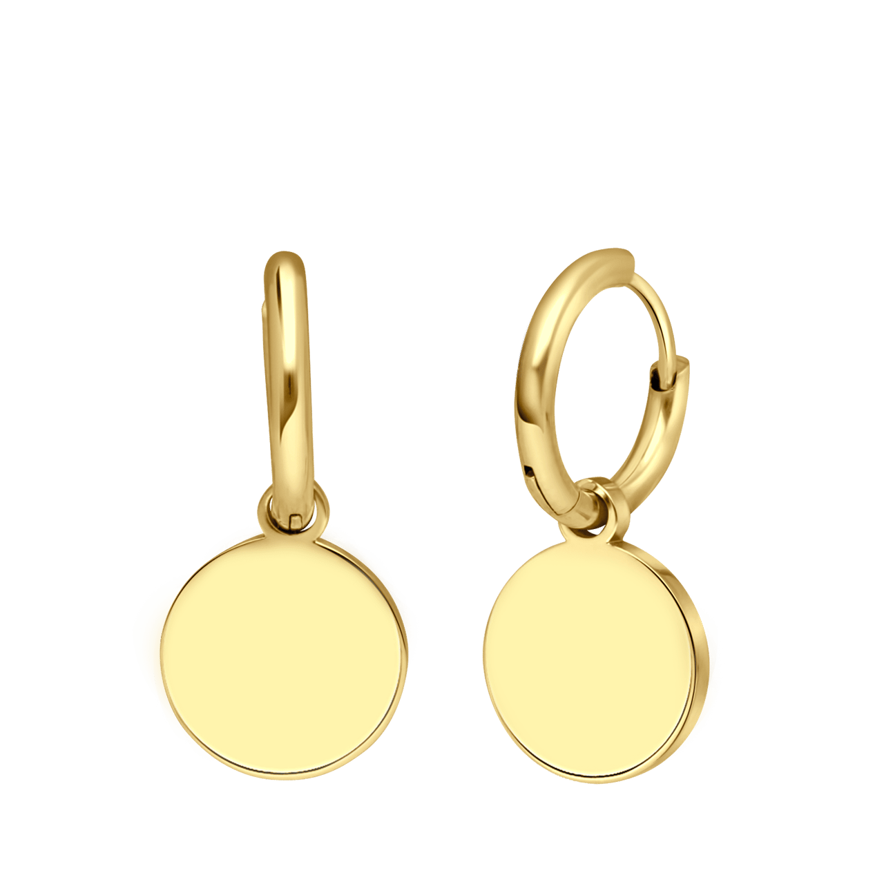 Stainless steel goldplated oorbellen met munt
