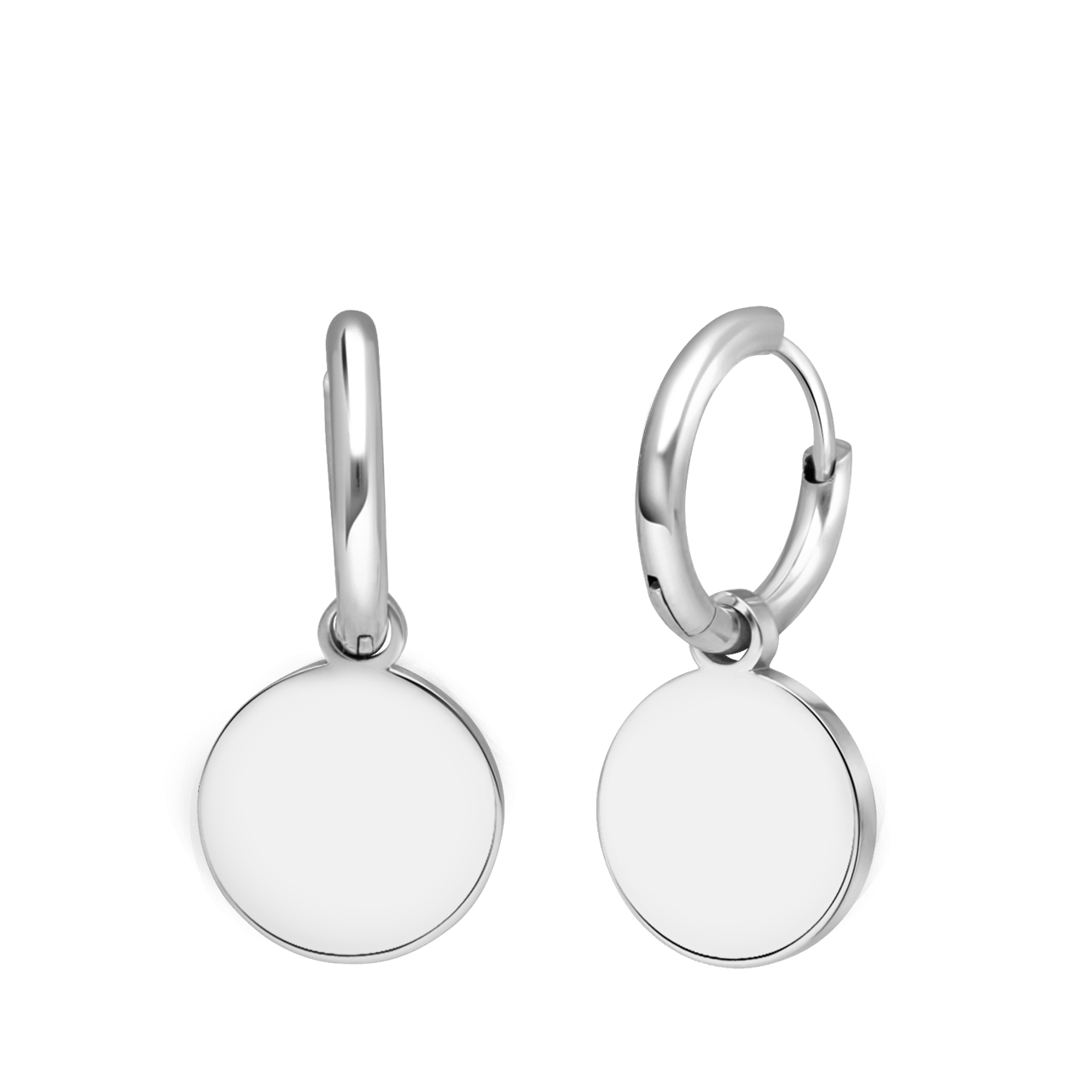 Stainless steel oorbellen met munt