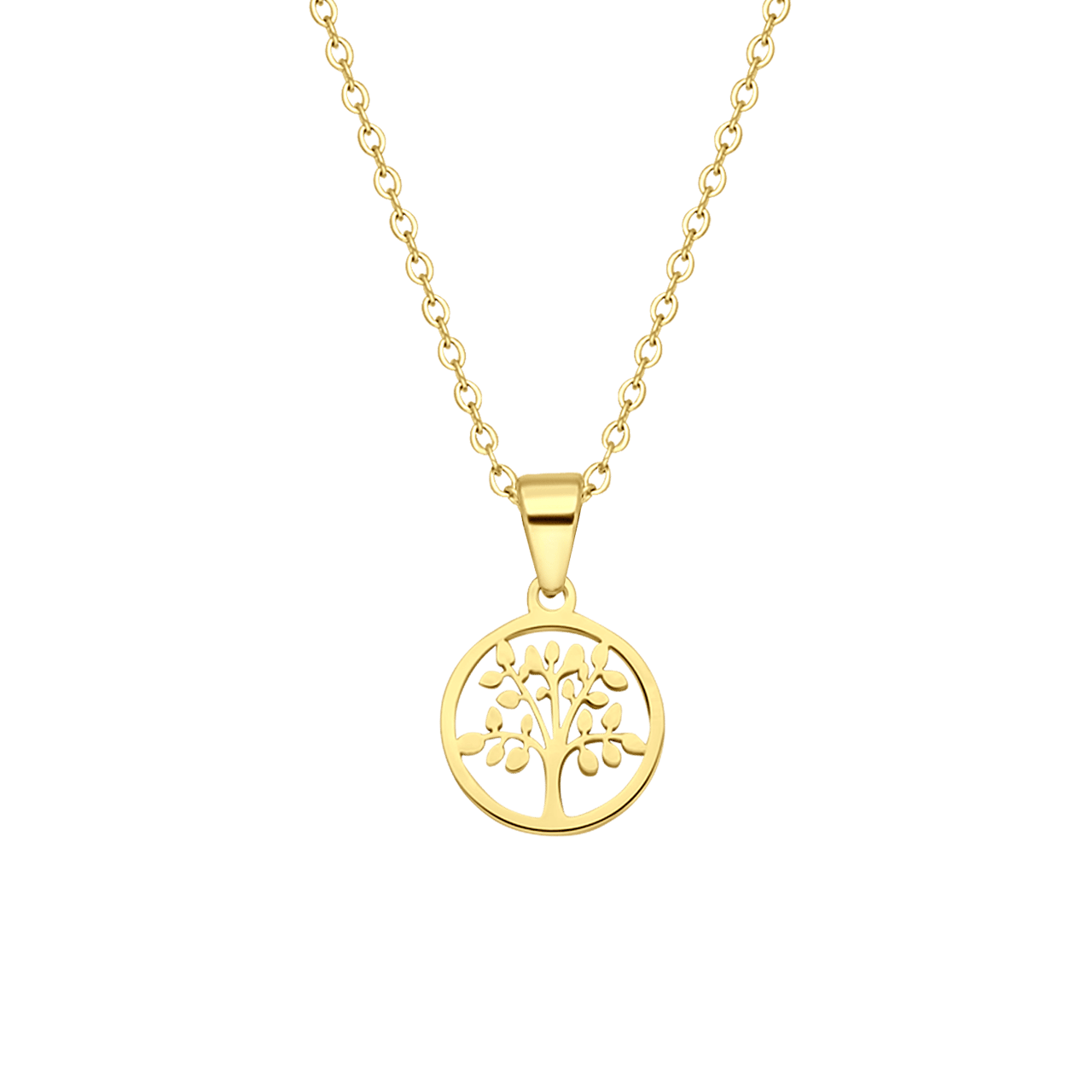 Stalen goldplated ketting met hanger munt voor dames
