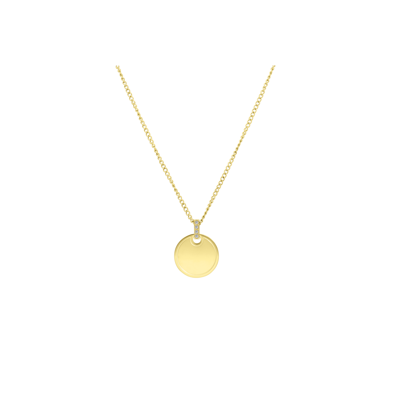 Gerecycleerd stainless steel goldplated ketting met bewerkte munt hanger