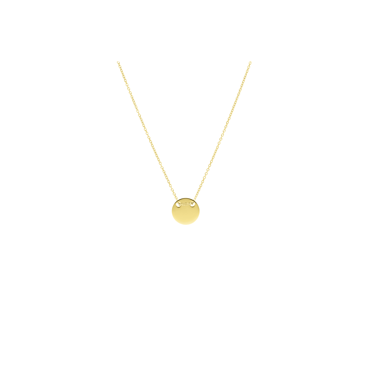 Gerecycleerd stainless steel goldplated ketting met munt hanger
