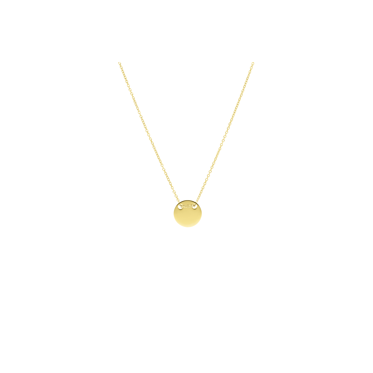 Gerecycleerd stalen goldplated ketting met munt hanger