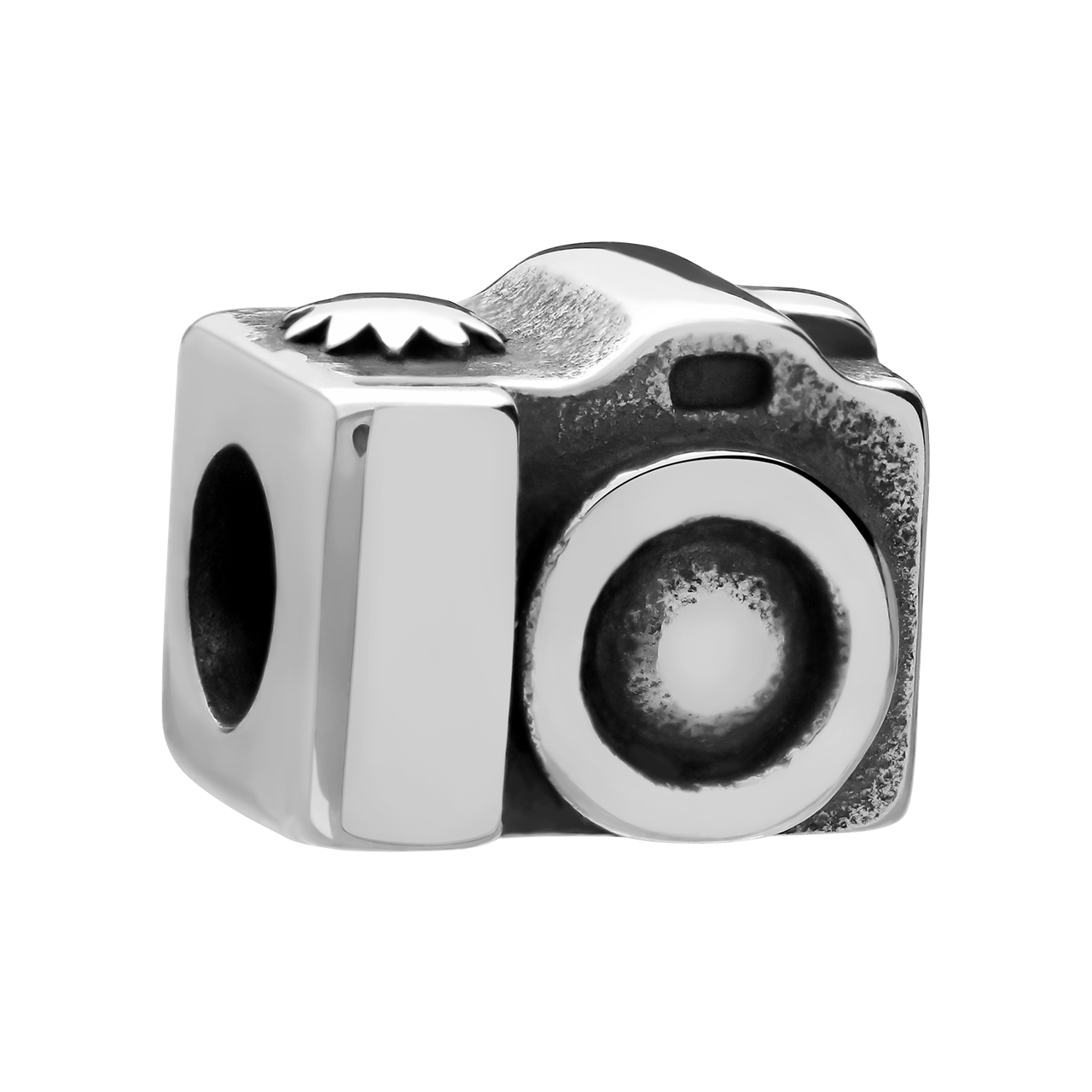Stainless steel bedel camara