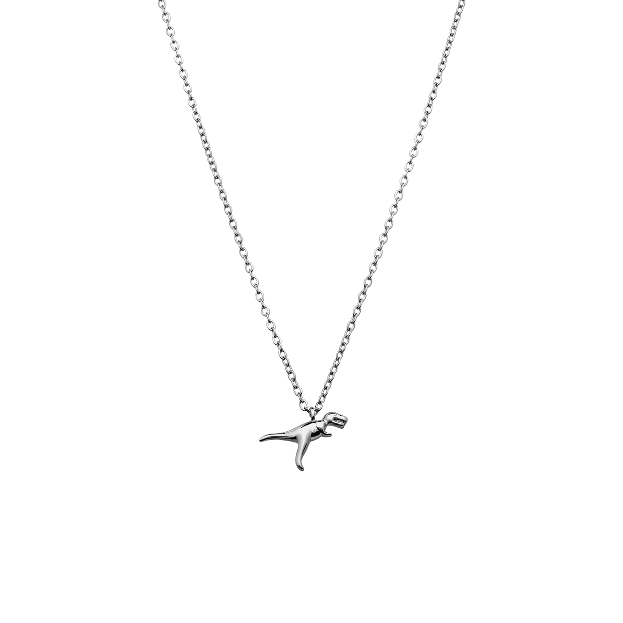 Stainless steel ketting met hanger Tyrannosaurus