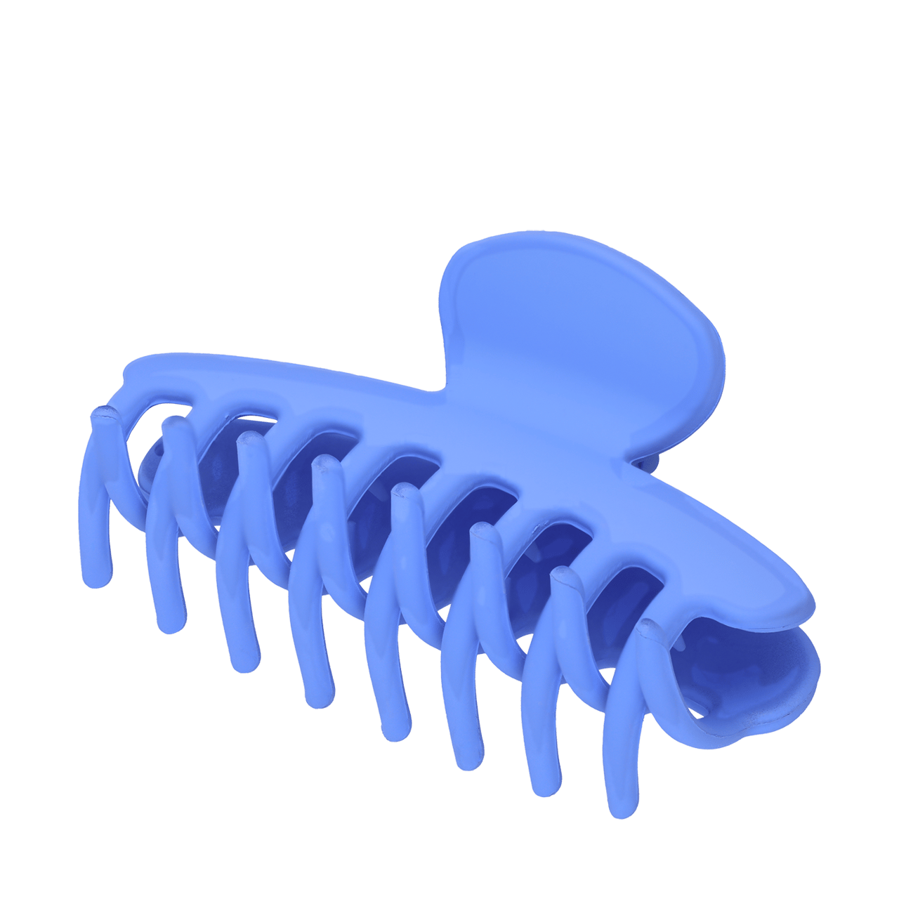 Haarklem blauw