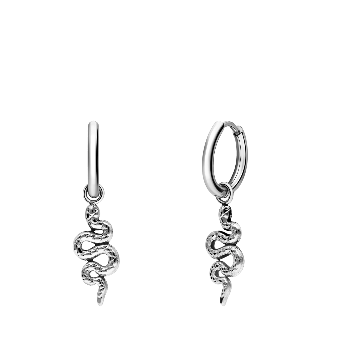 Stainless steel oorringen met slangen