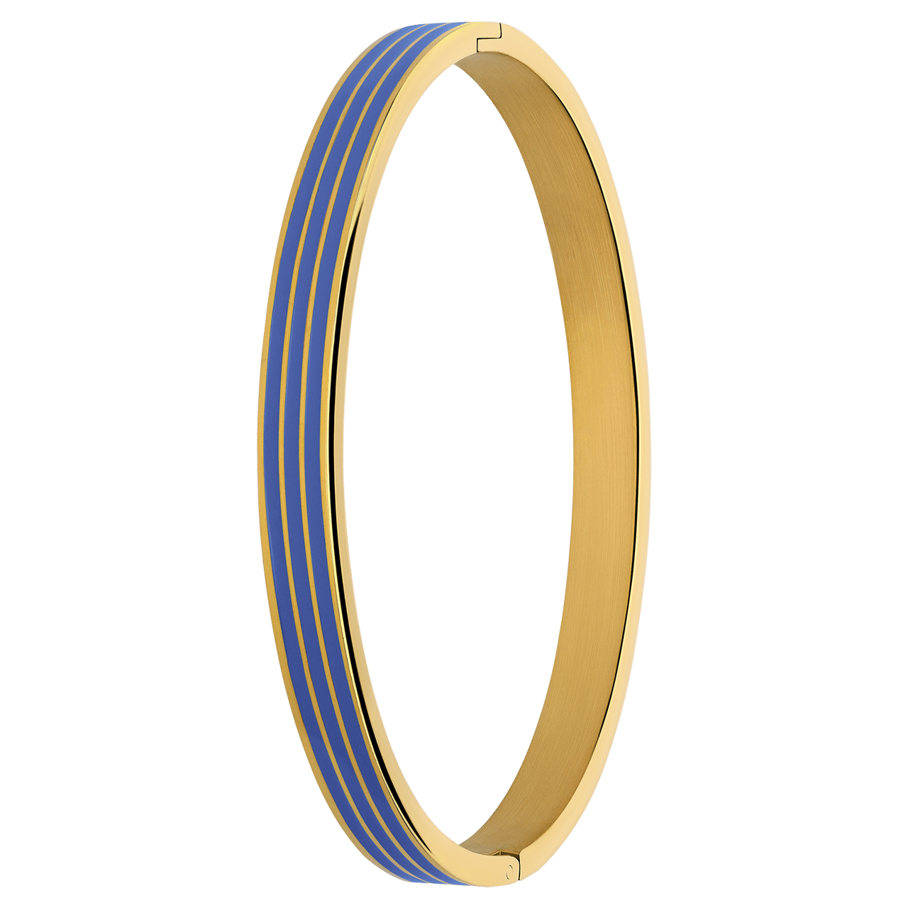 Stainless steel goldplated bangle voor dames