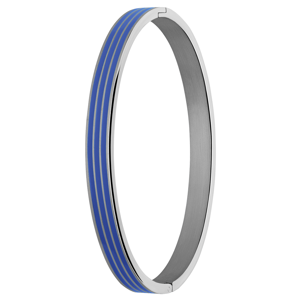 Stainless steel bangle met blauwe strepen