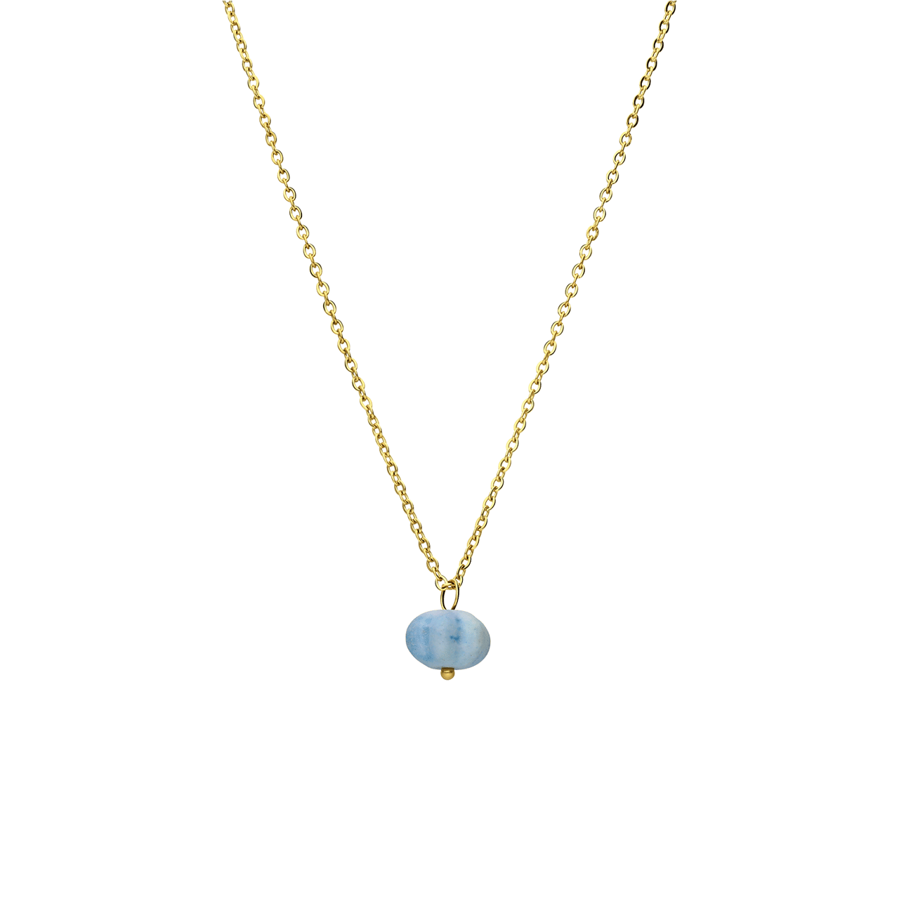 Stalen goldplated ketting met hanger pompoen voor dames