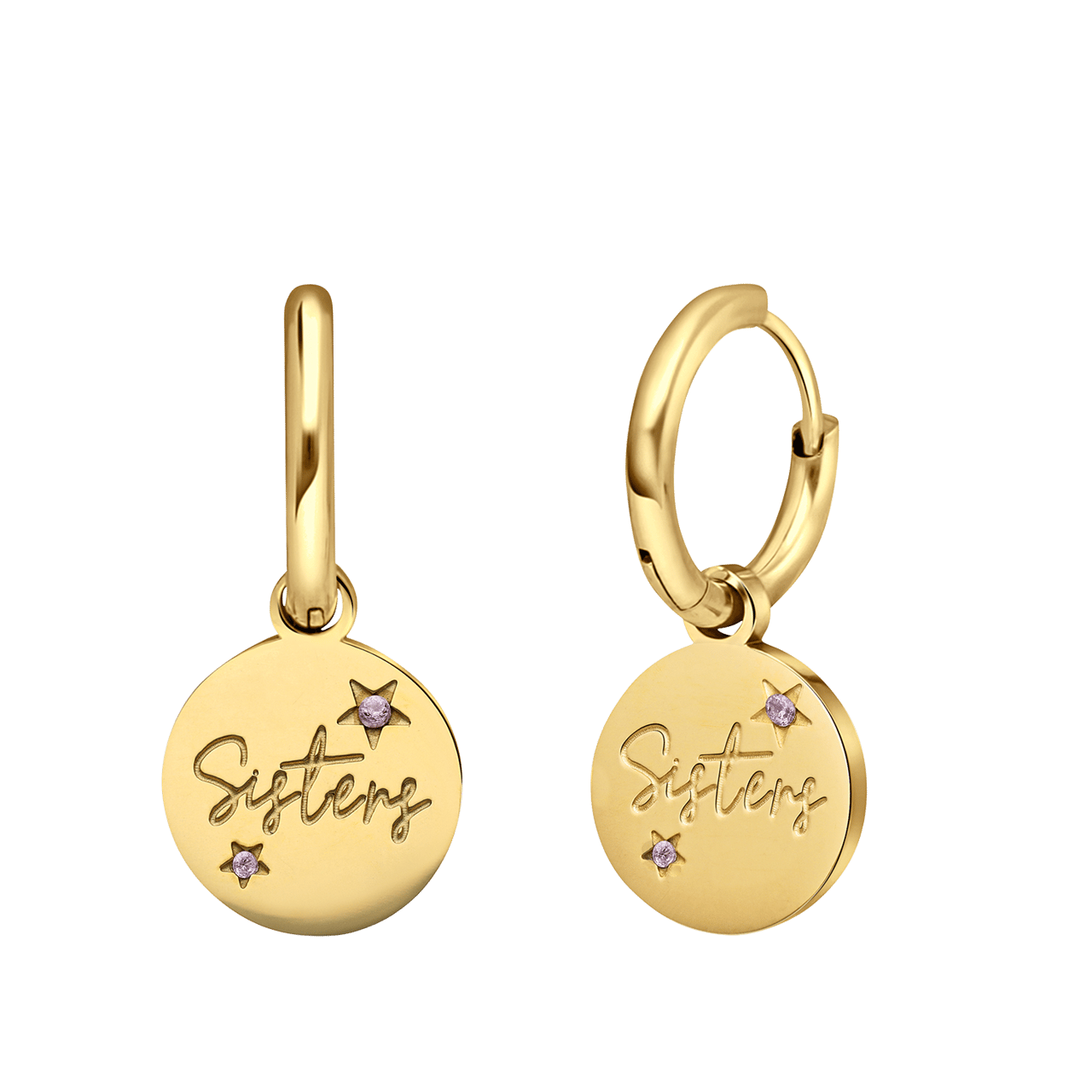 Stainless steel goldplated oorringen munt met zirkonia voor dames