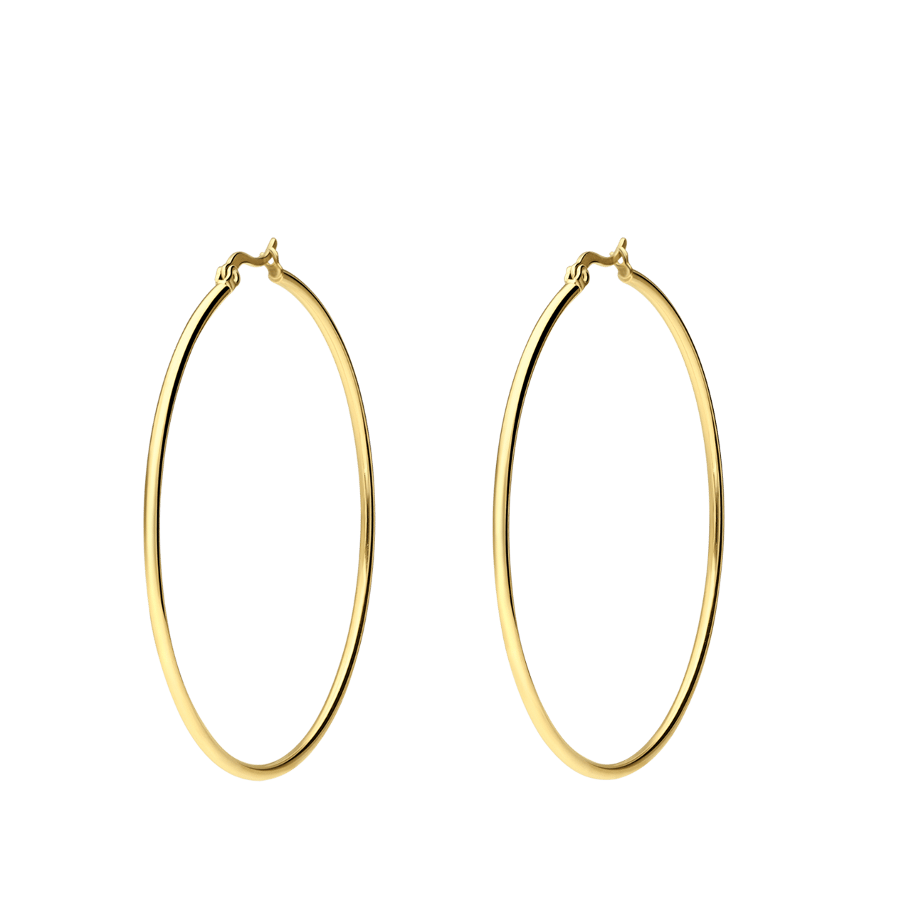 Stalen goldplated oorringen voor dames