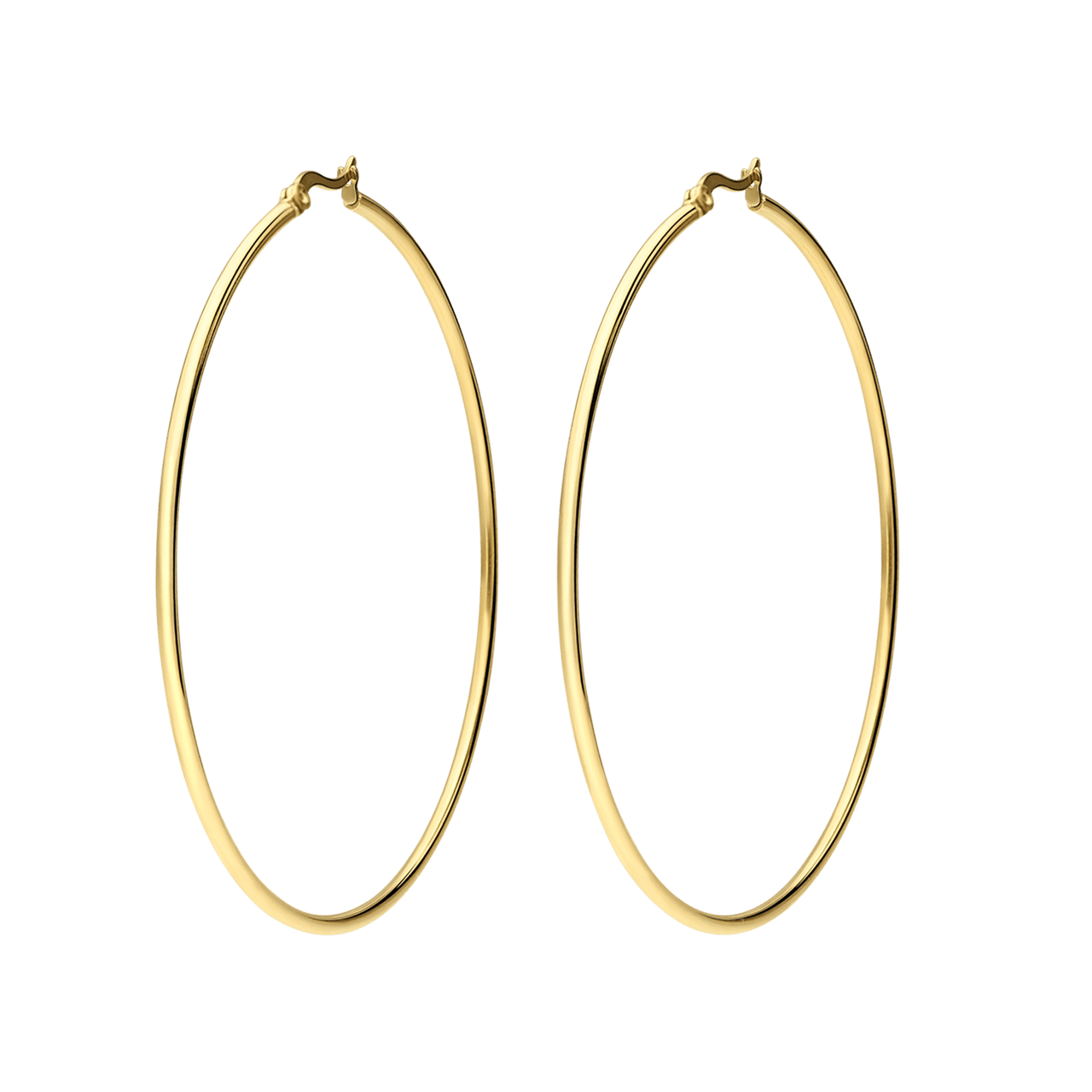 Stainless steel goldplated oorringen voor dames
