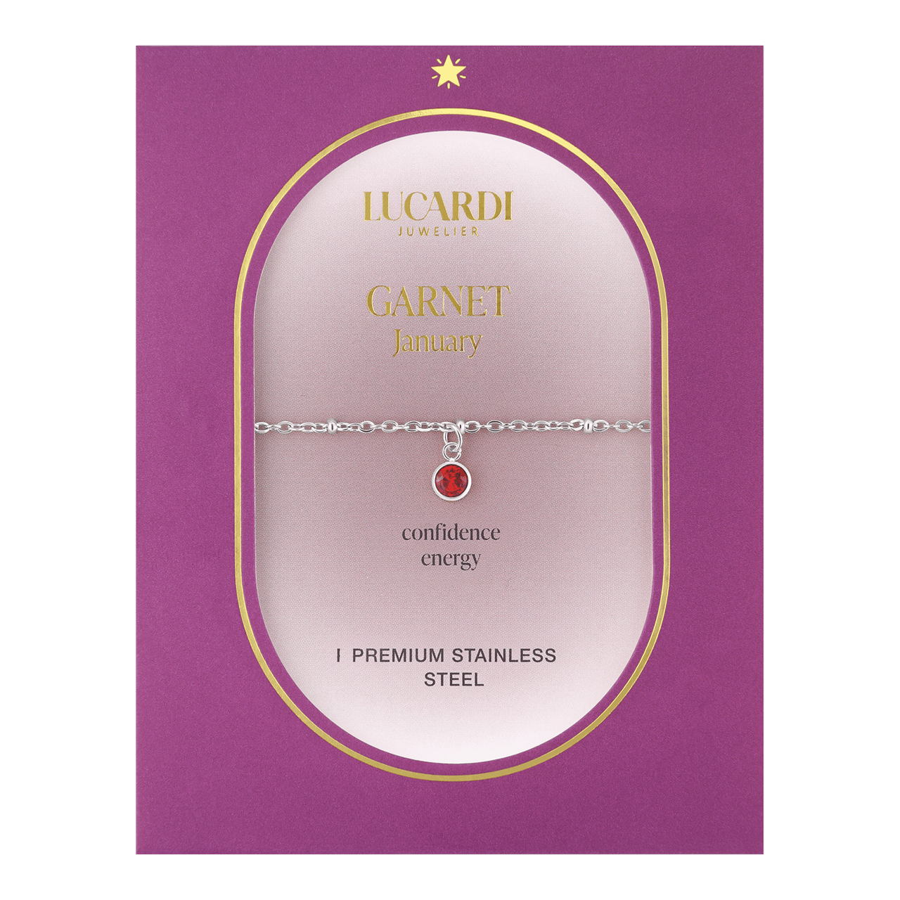 Stainless steel armband geboortesteen januari