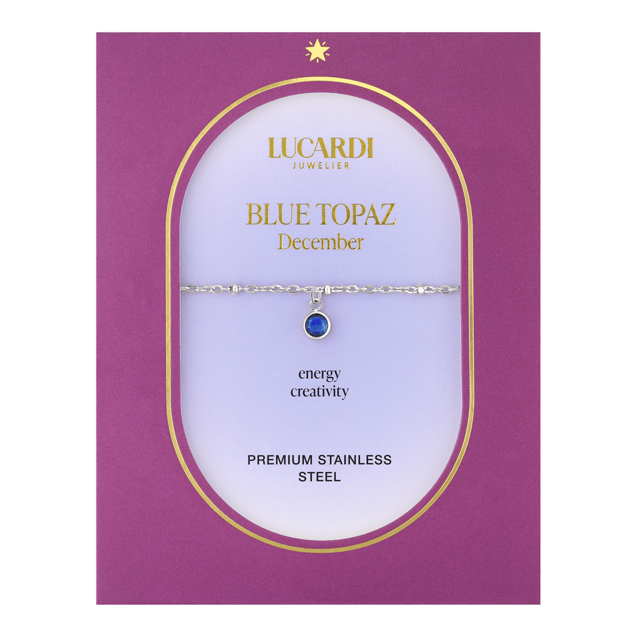 Stainless steel armband geboortesteen december