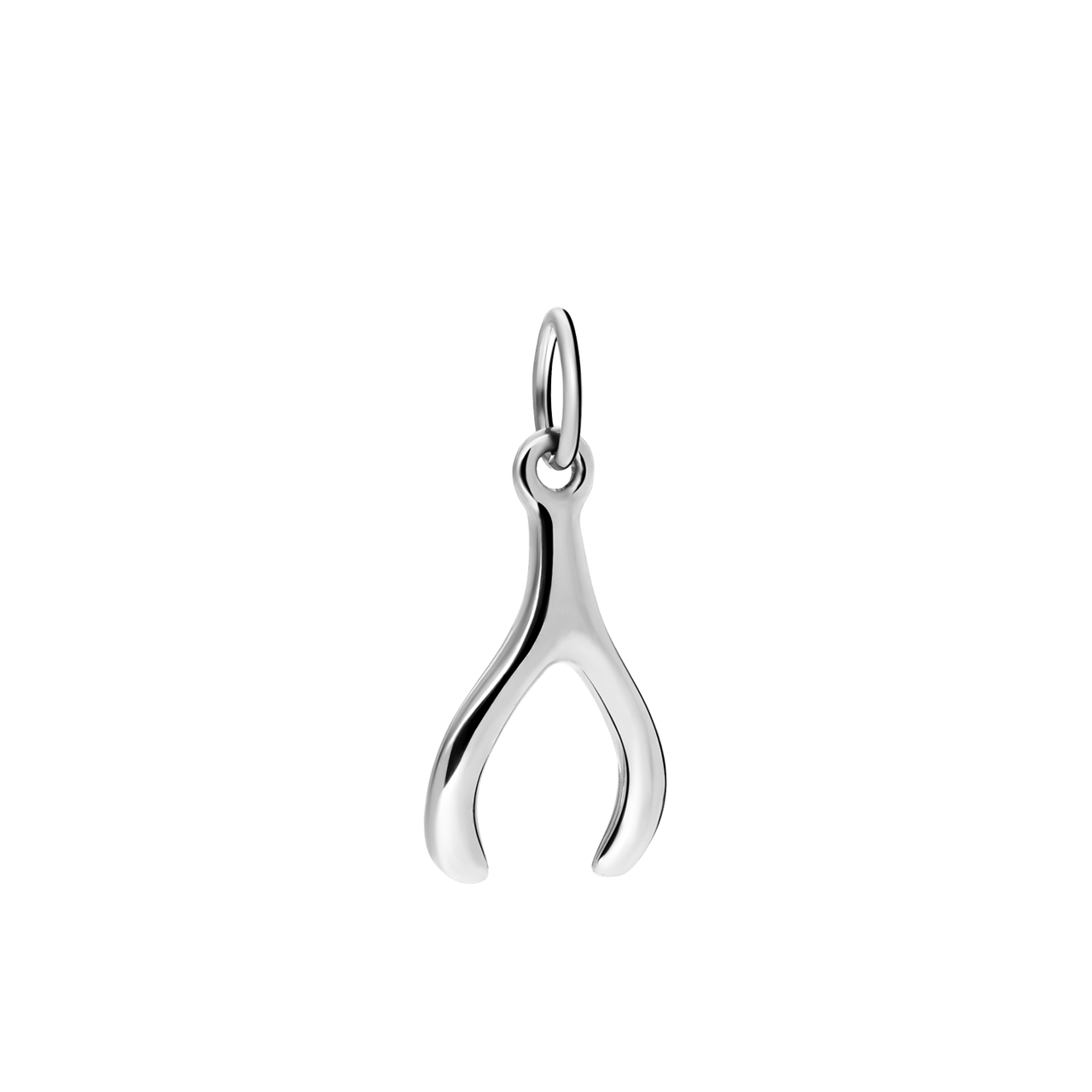 Zilveren hanger wensbotje