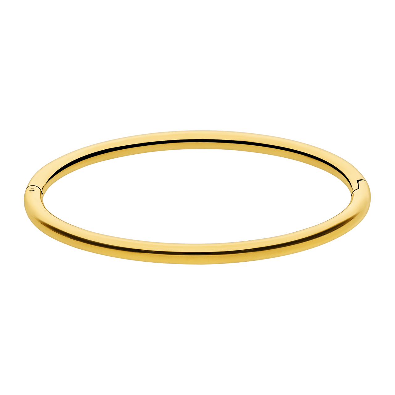 Stalen goldplated bangle voor dames