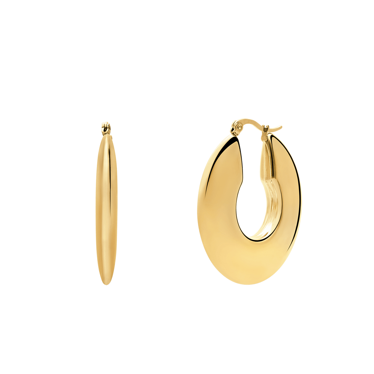 Stainless steel goldplated oorringen voor dames