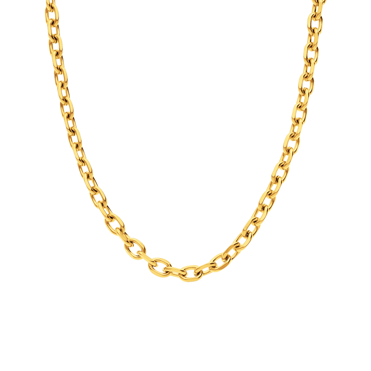 Stainless steel goldplated ketting voor dames
