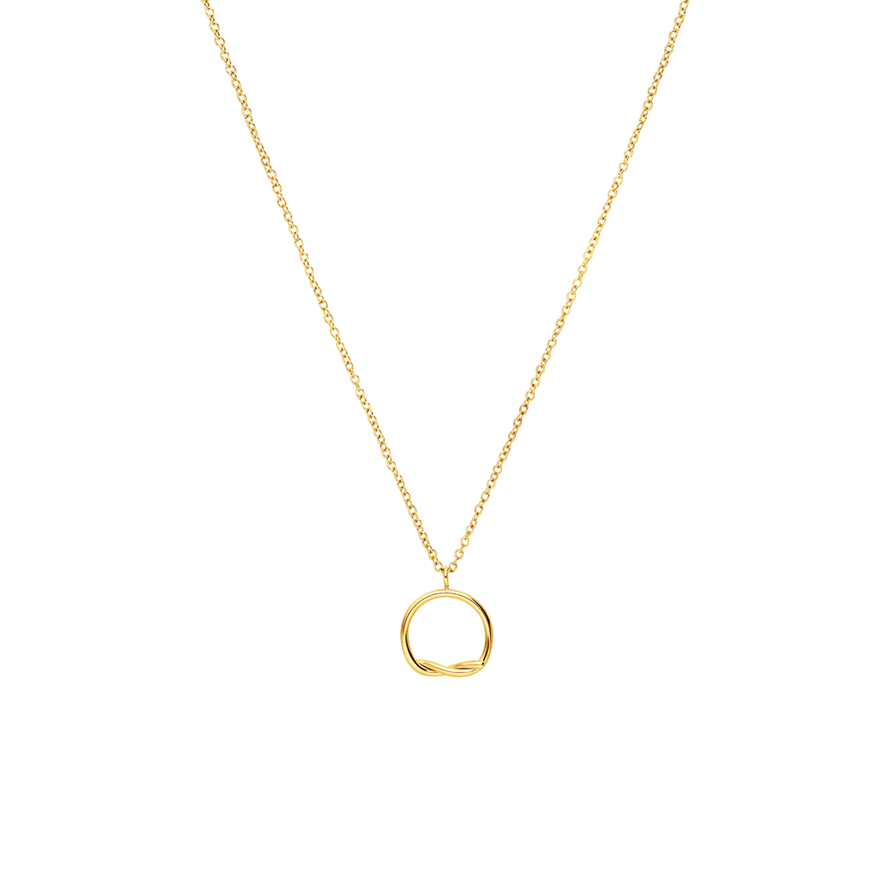 Stainless steel goldplated ketting met hanger cirkel voor dames
