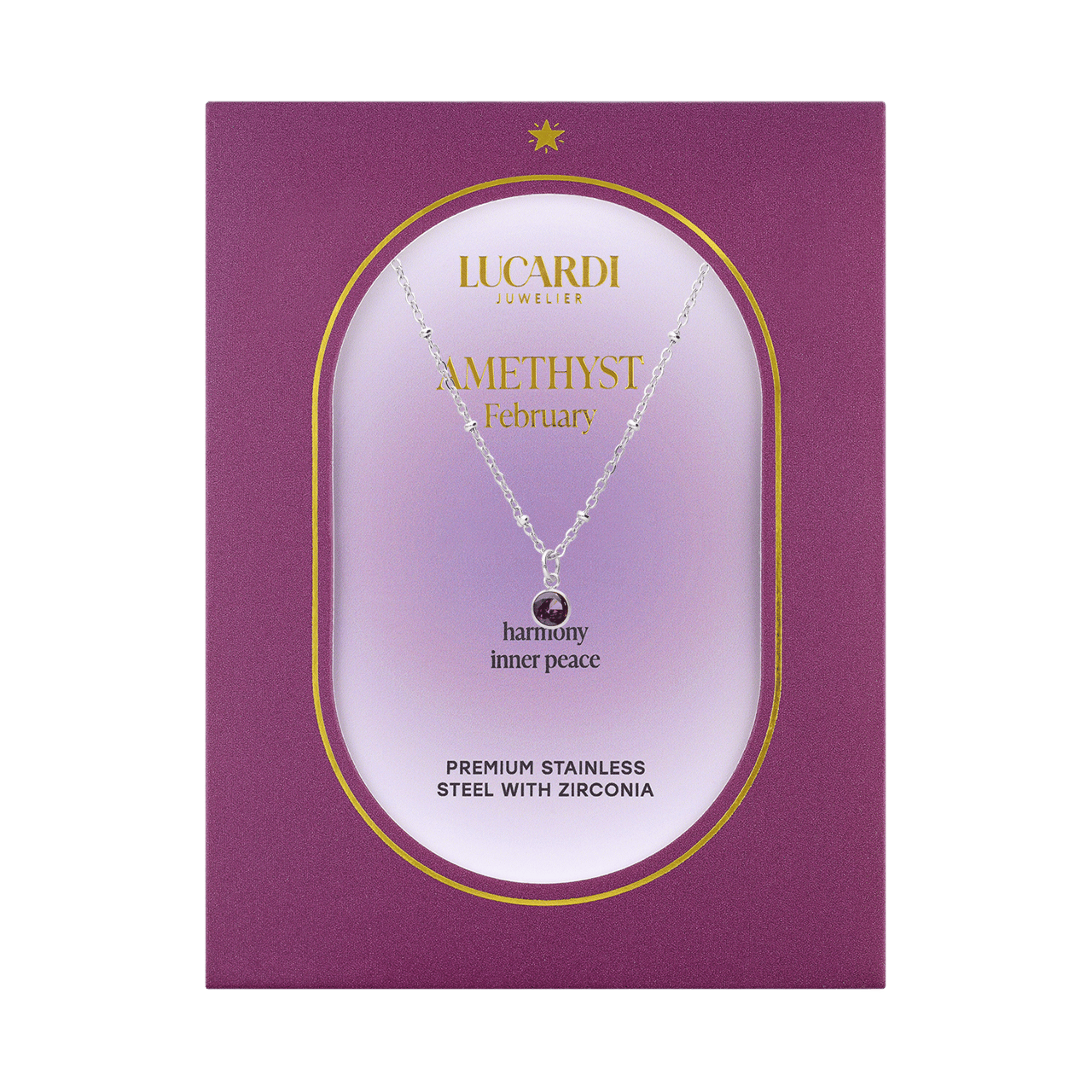 Stalen ketting met geboortesteen hanger februari