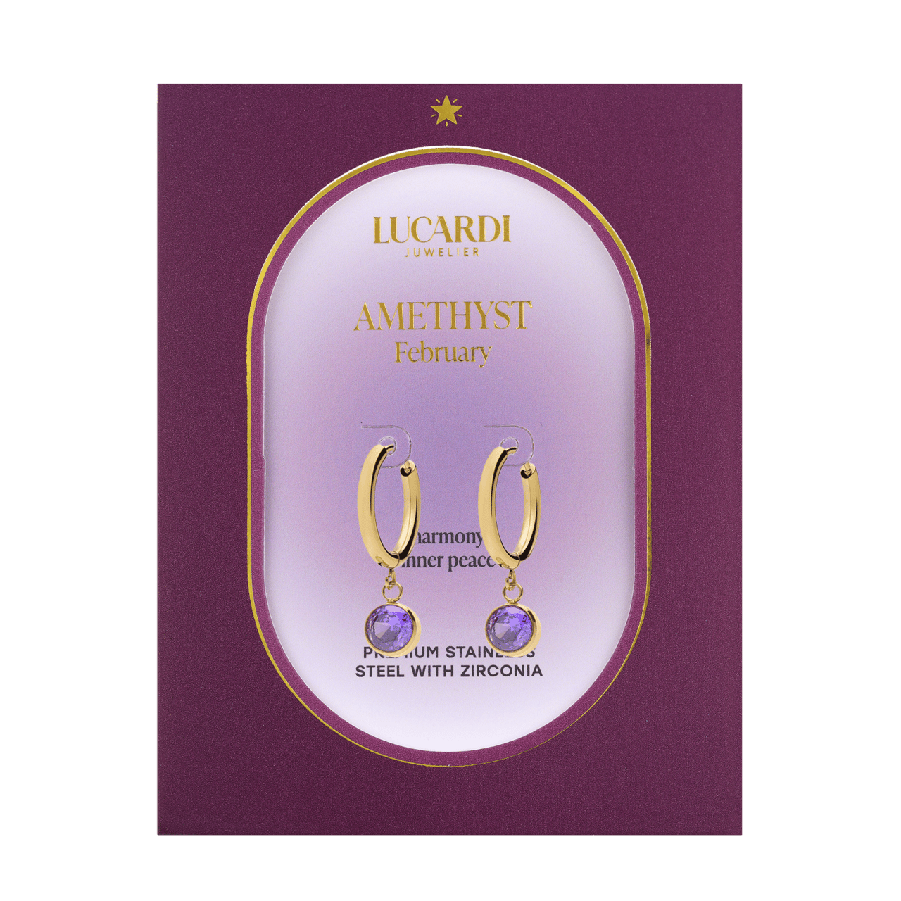 Stainless steel goldplated oorknoppen met geboortesteen Februari voor dames