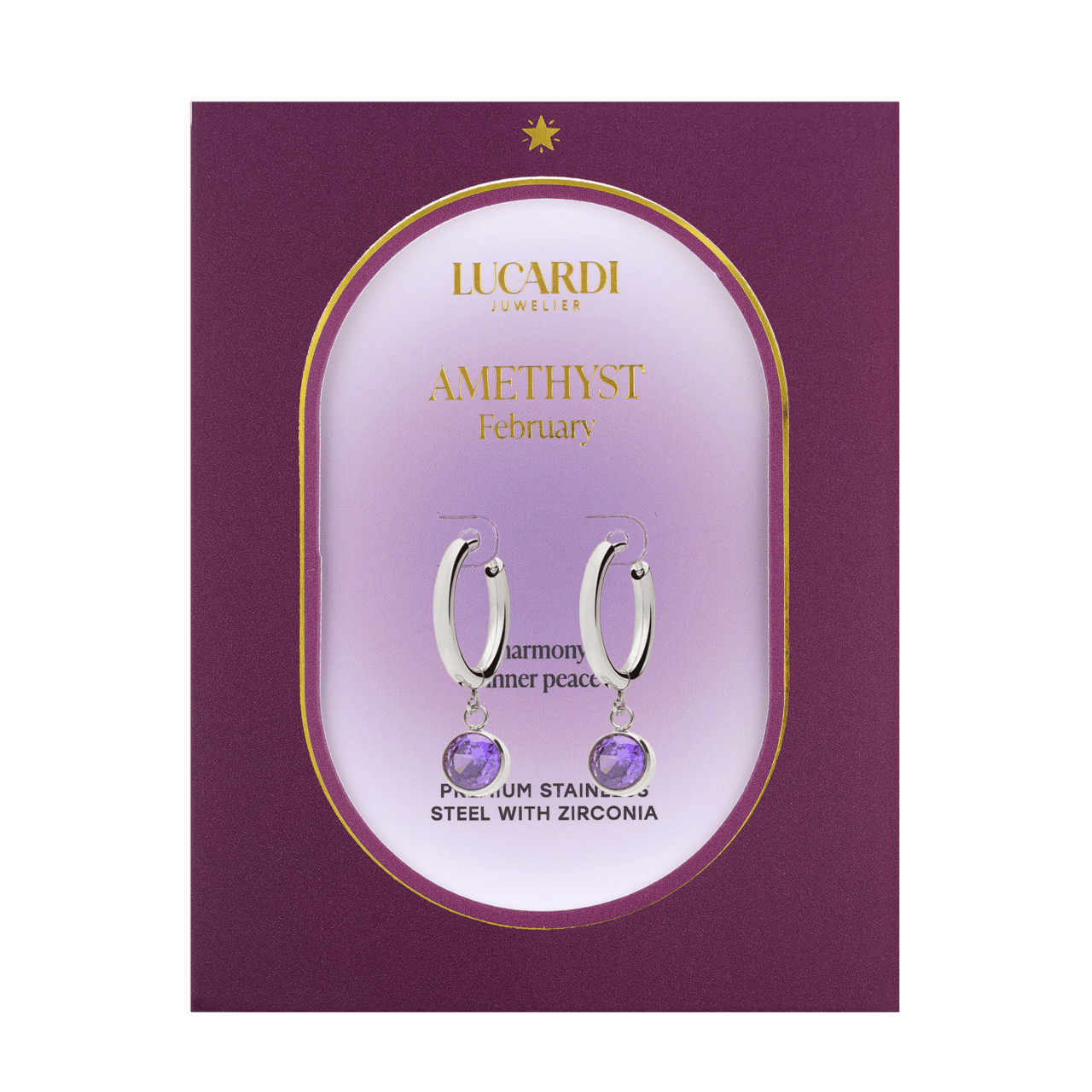 Stainless steel oorbellen met geboortesteen februari