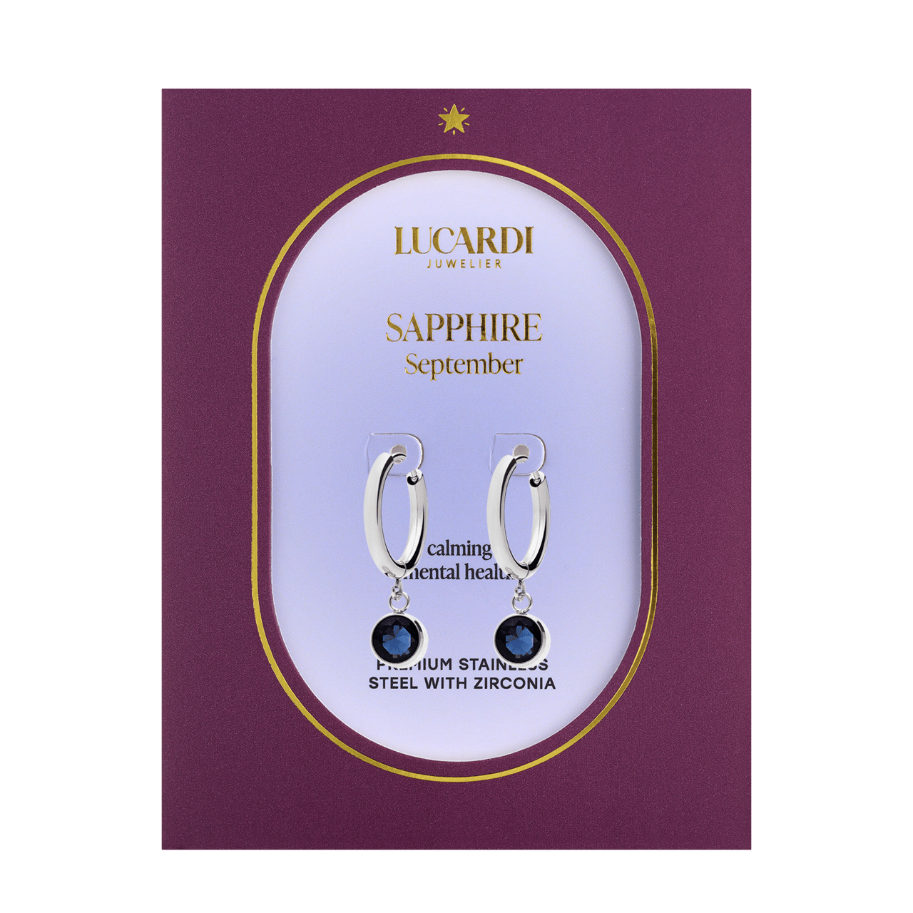 Stainless steel oorbellen met geboortesteen september