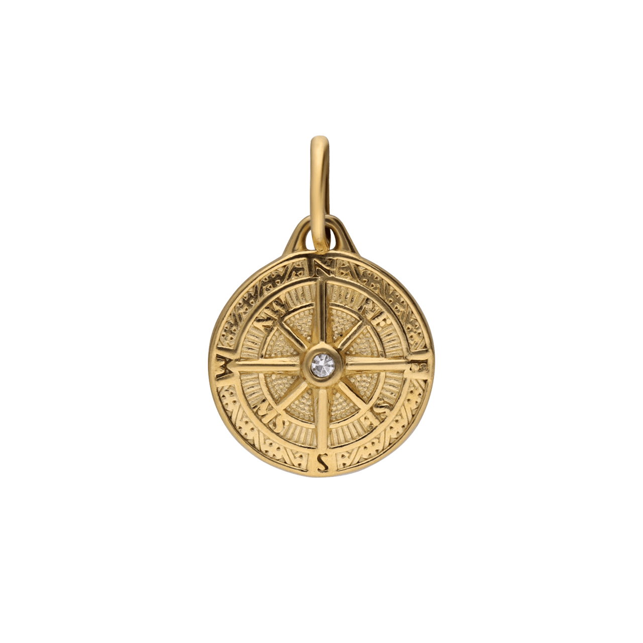 Stainless steel goldplated hanger munt met zirkonia voor dames