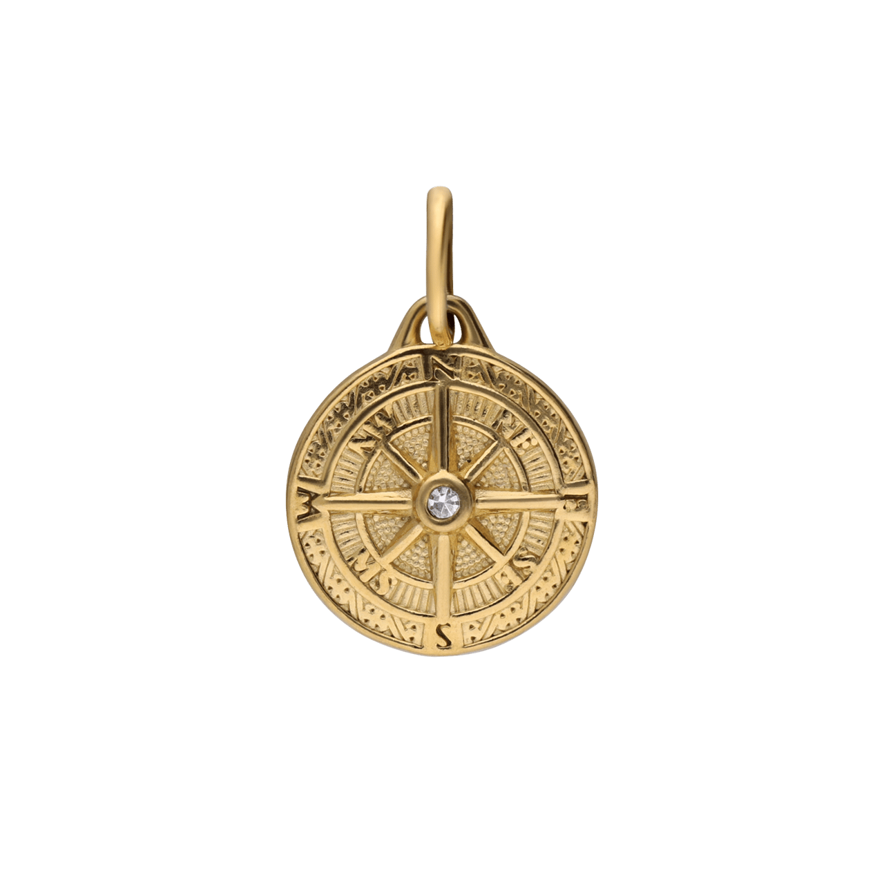 Stalen goldplated hanger munt met zirkonia voor dames