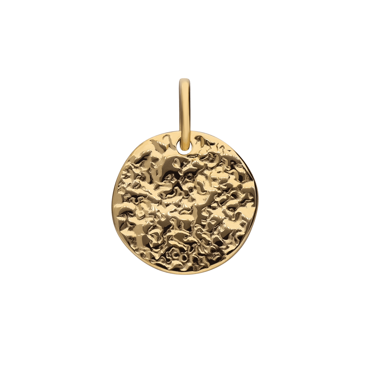 Stalen goldplated hanger munt voor dames