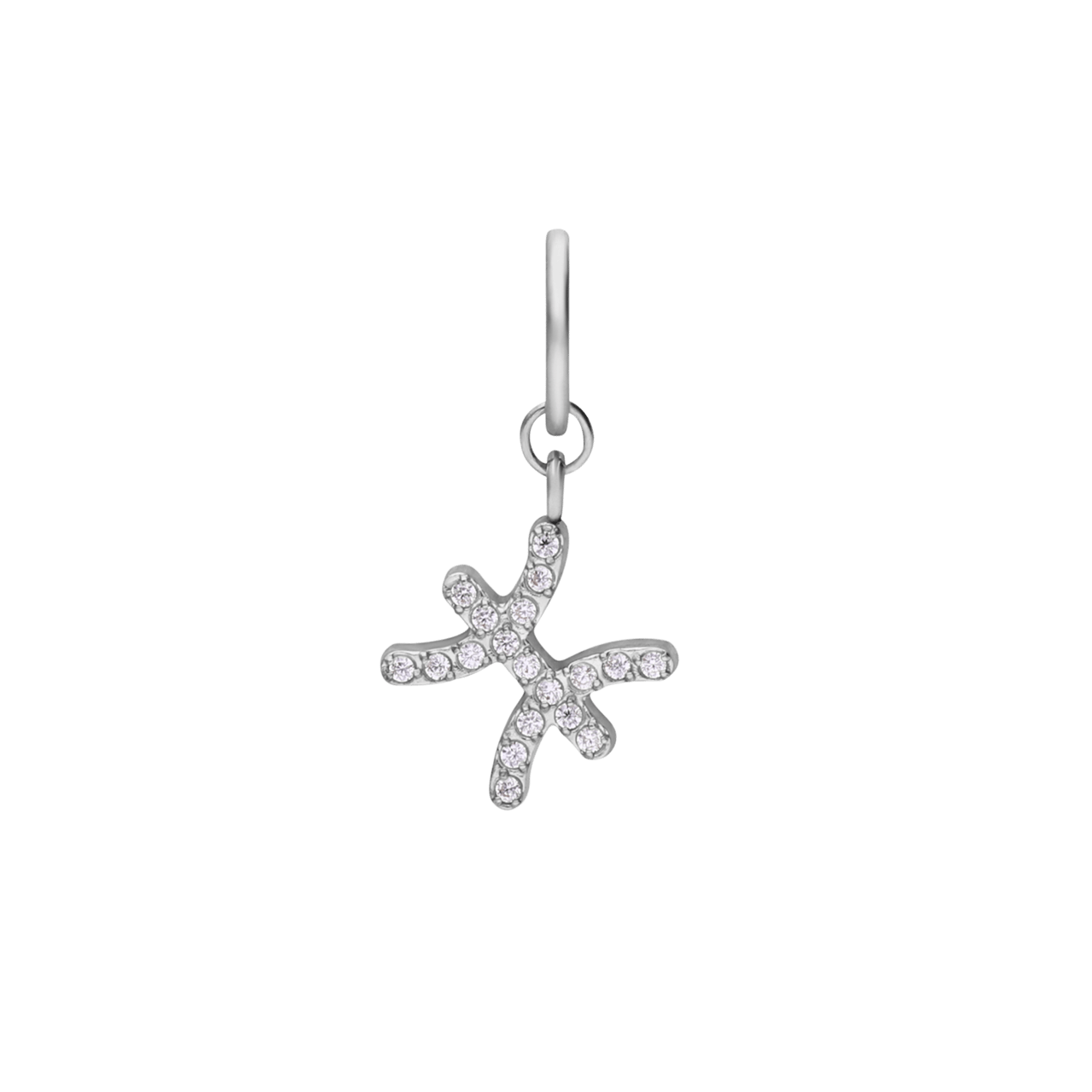 Charm aus Edelstahl, Fische