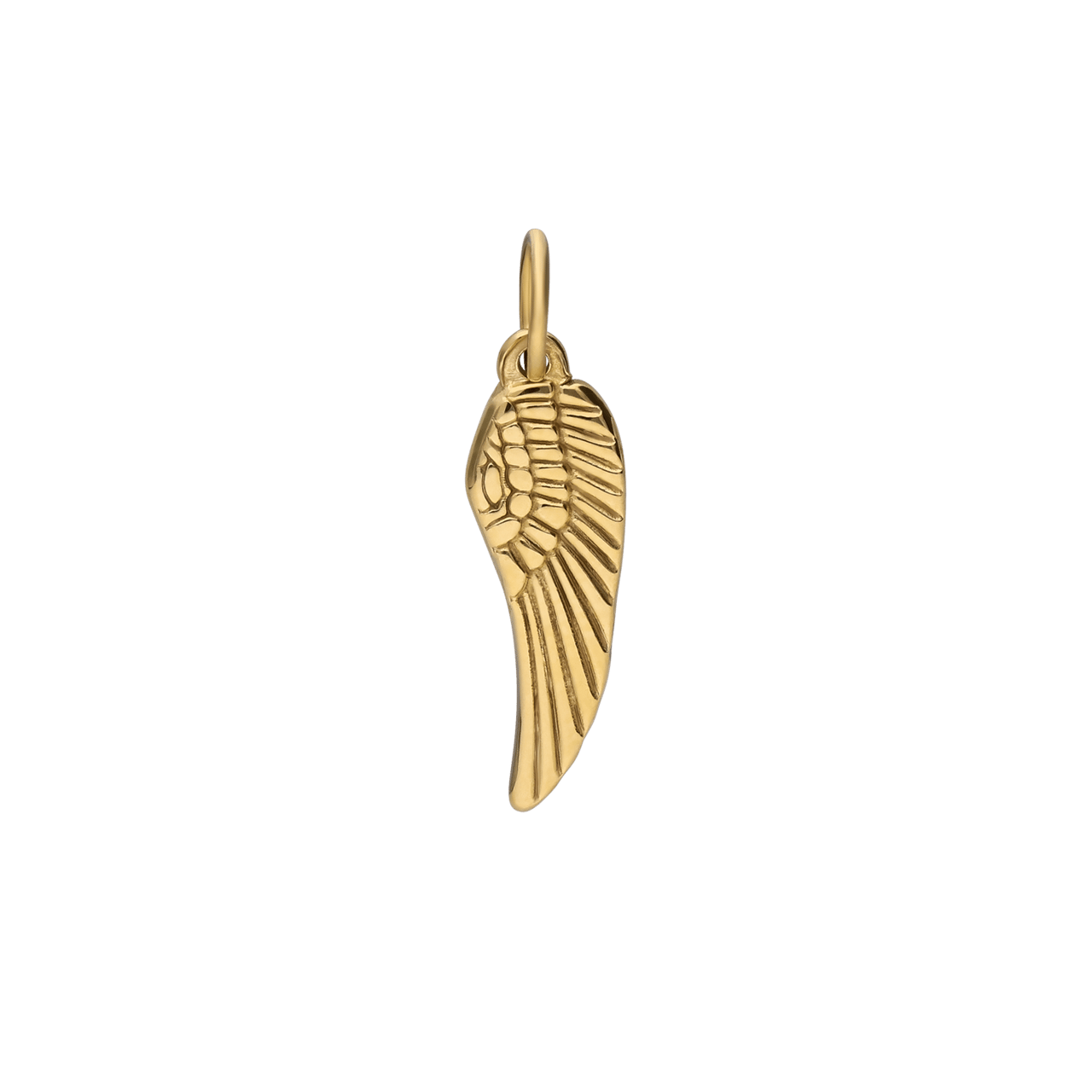 Stainless steel goldplated hanger vleugel voor dames