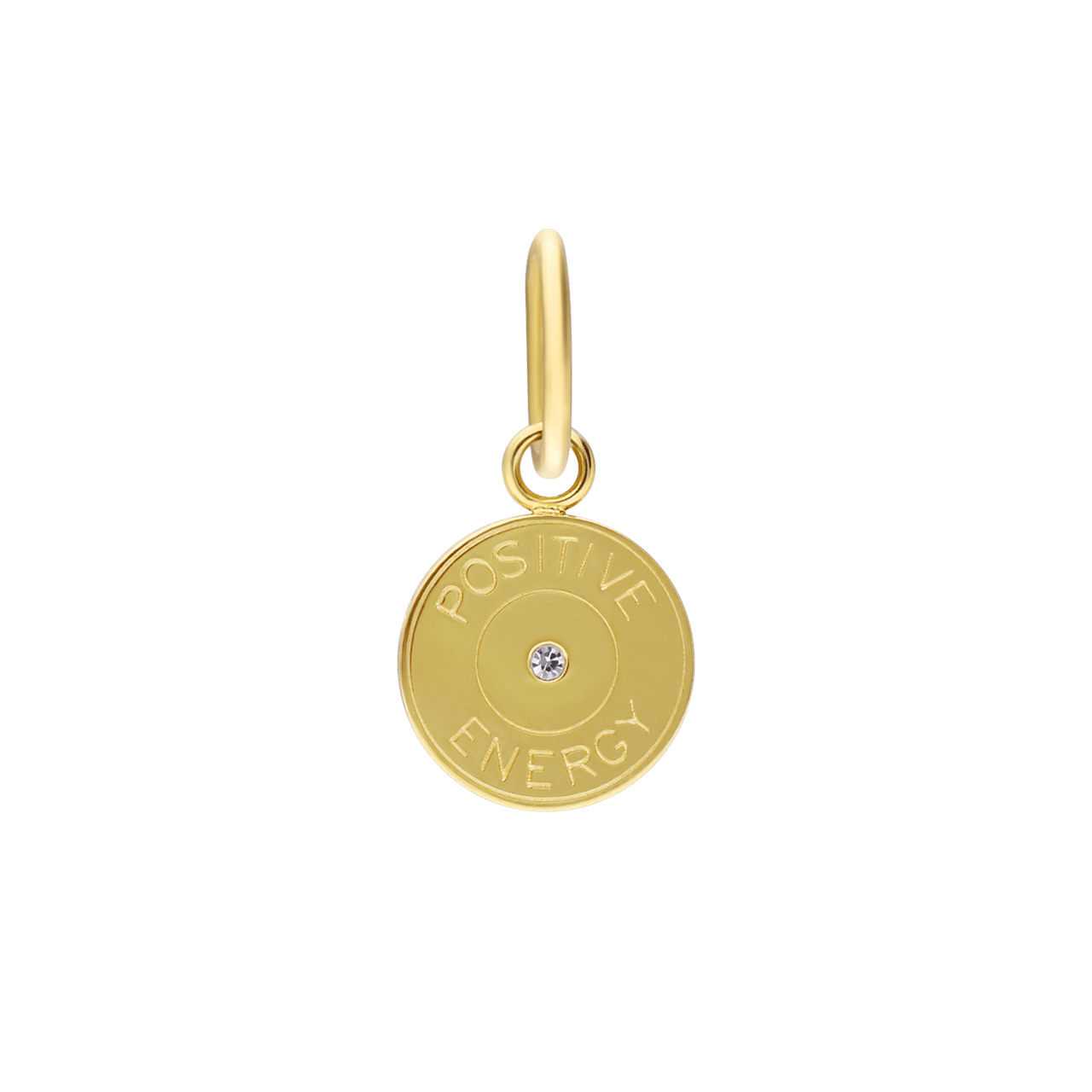 Stalen goldplated hanger munt met zirkonia voor dames