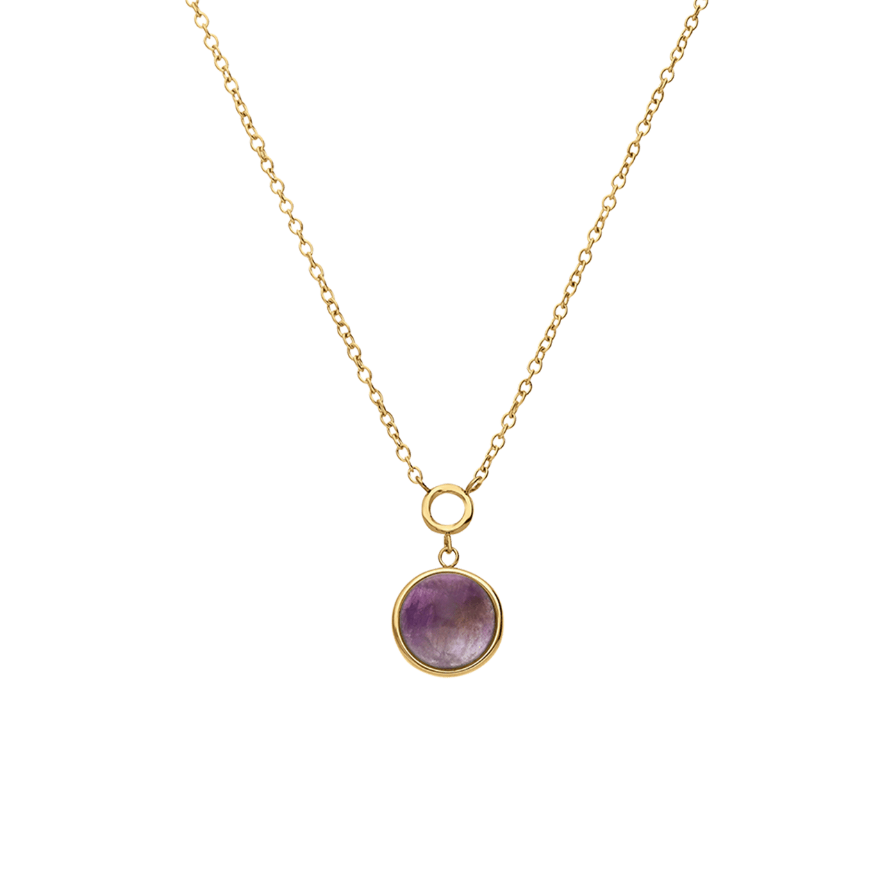 Stainless steel goldplated ketting met hanger met amethyst voor dames
