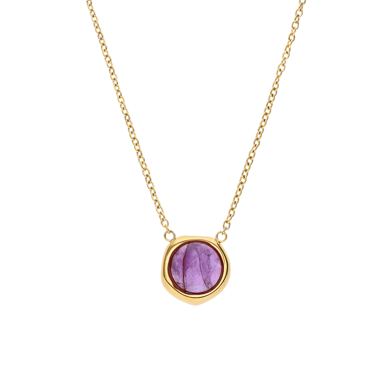 Stainless steel goldplated ketting met hanger met amethyst voor dames
