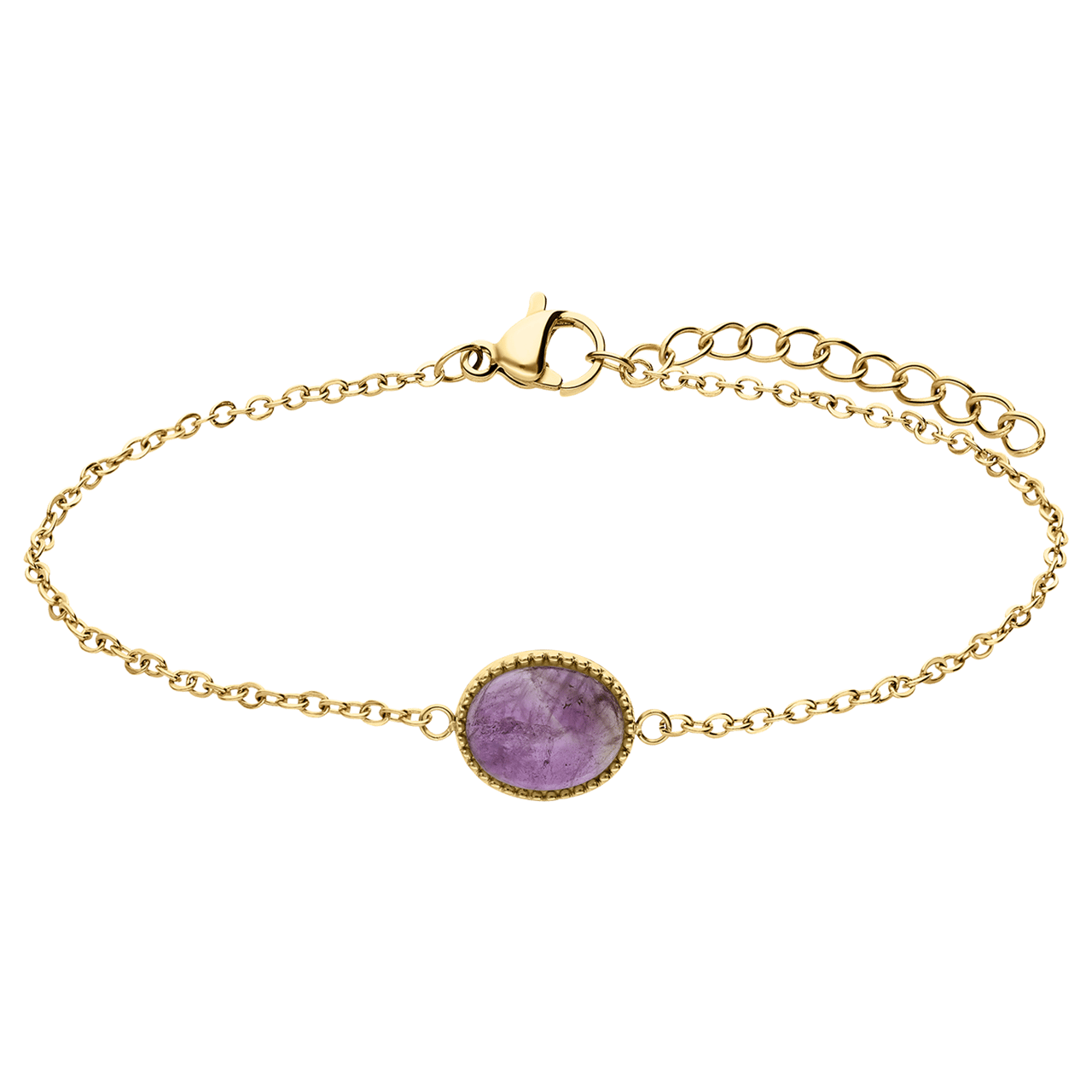 Stainless steel goldplated fantasiearmband met amethyst voor dames