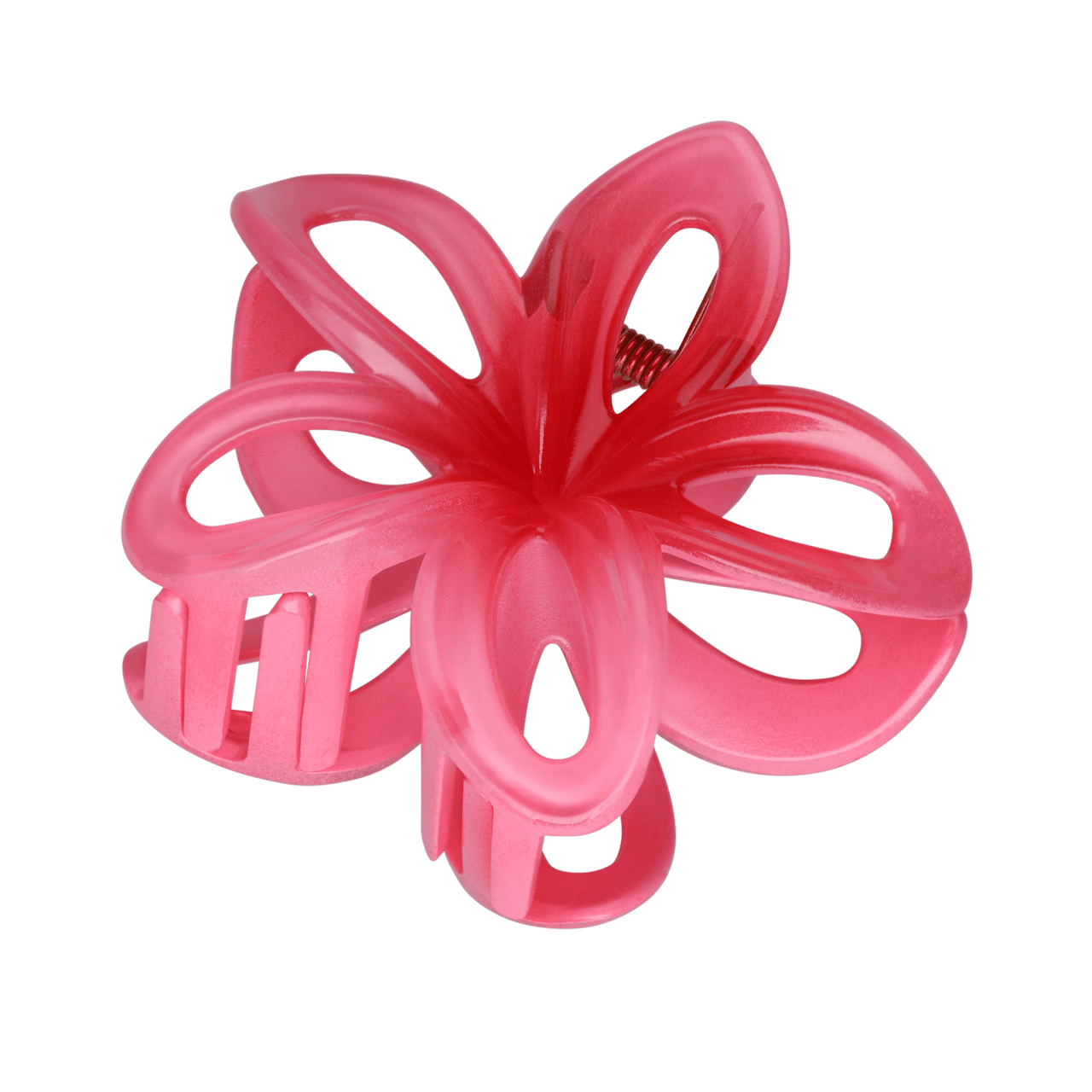 Rote Haarklammer, Blume