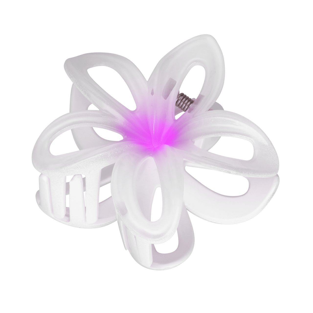 Weiße Haarklammer, Blume