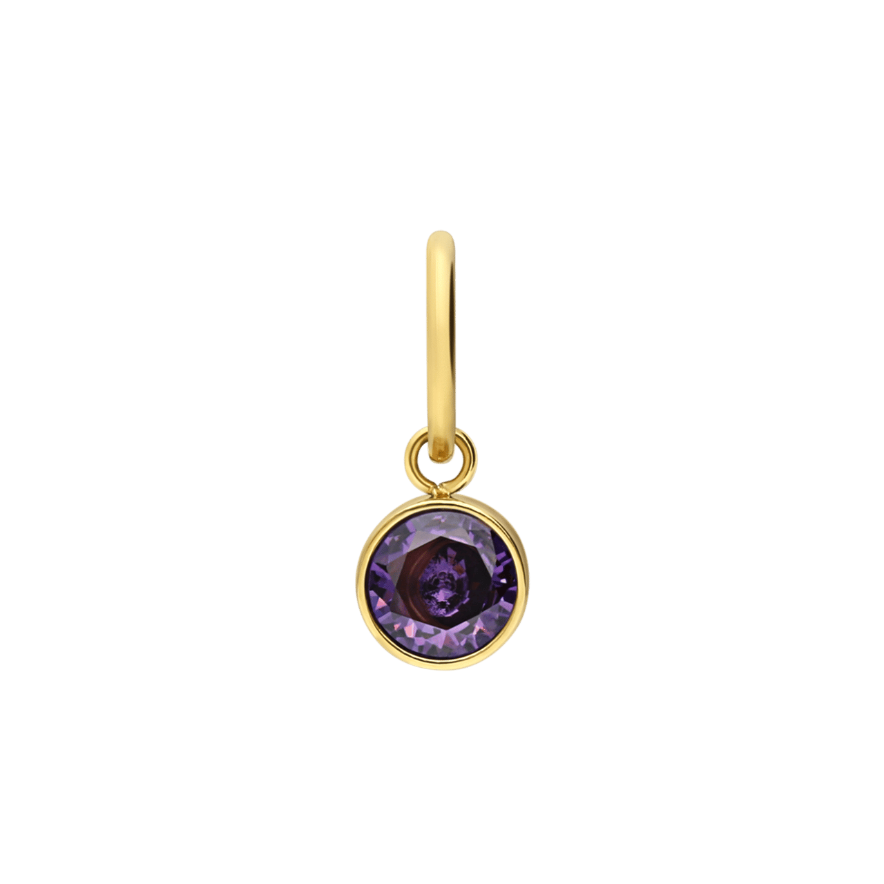 Stainless steel goldplated bedel geboortesteen februari