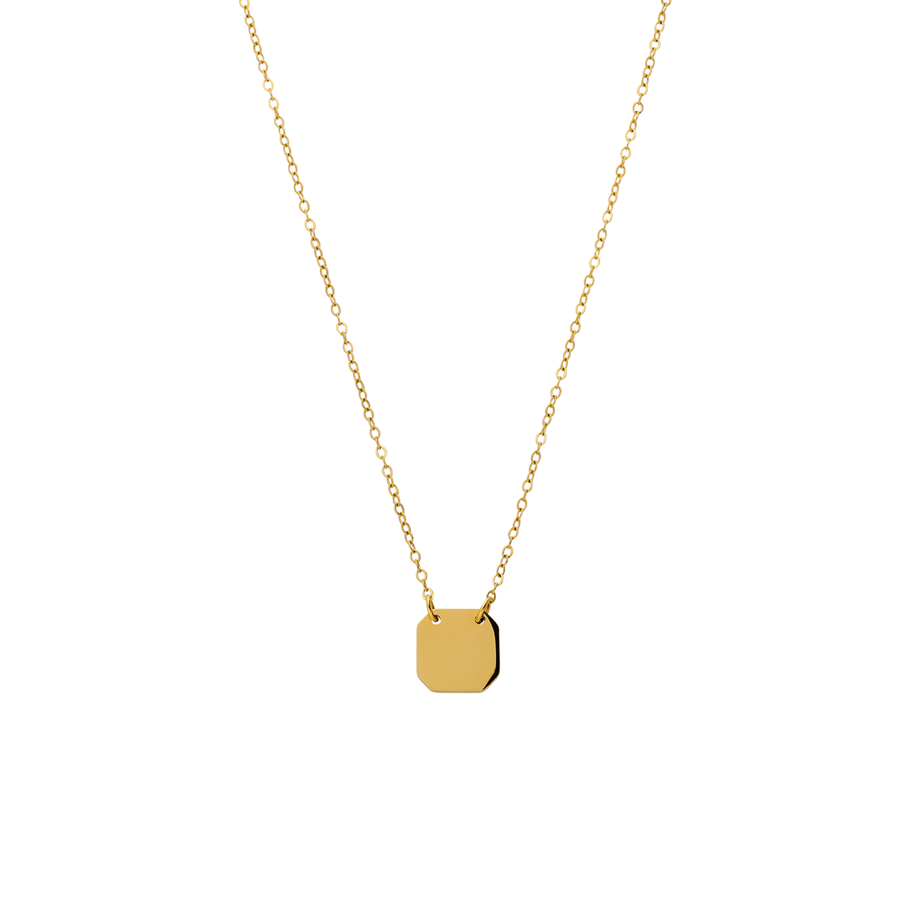 Stalen goldplated ketting met hanger voor dames