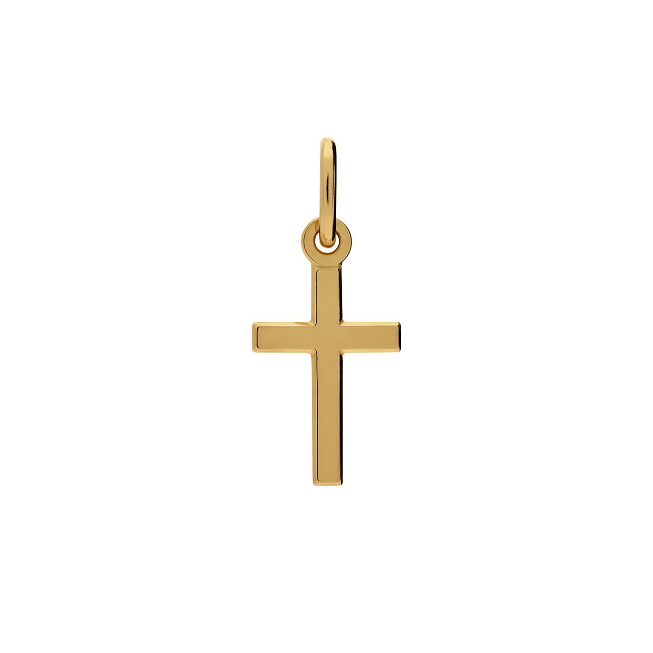 Zilveren goldplated hanger voor dames