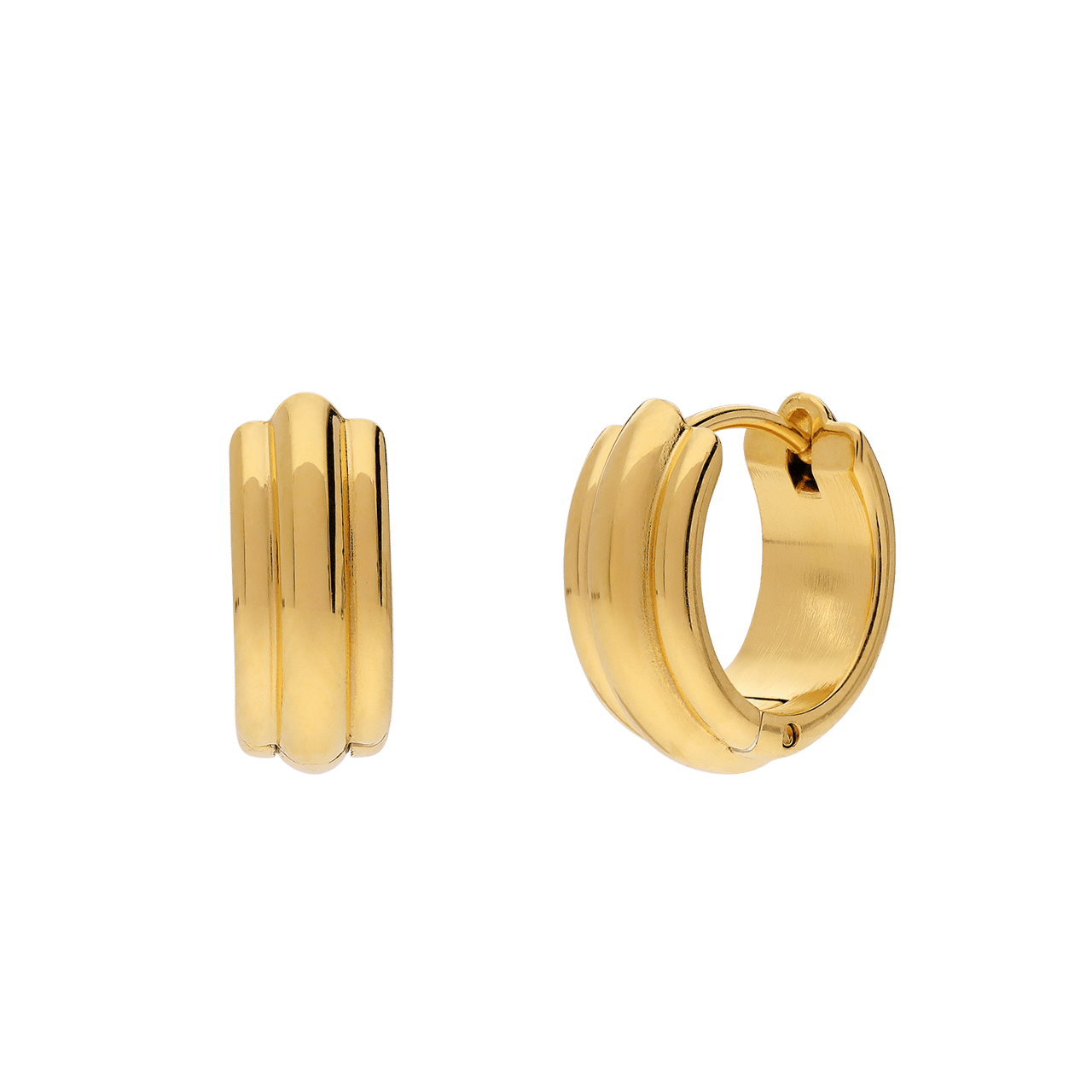Stainless steel oorringen voor dames