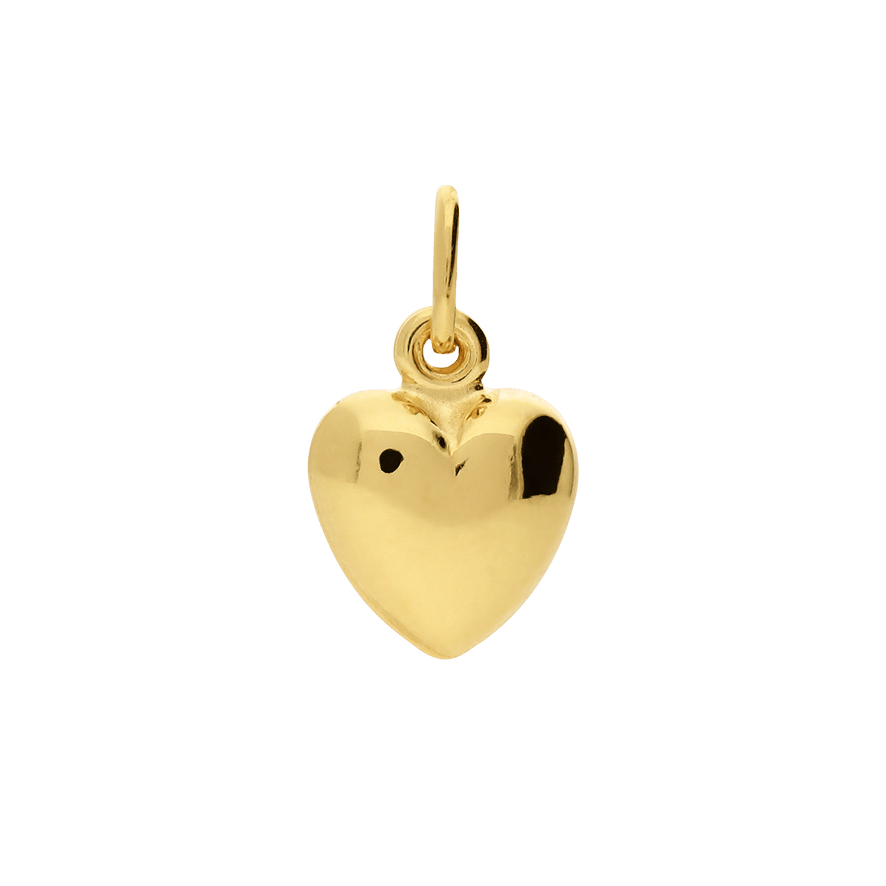 Zilveren goldplated hanger voor dames