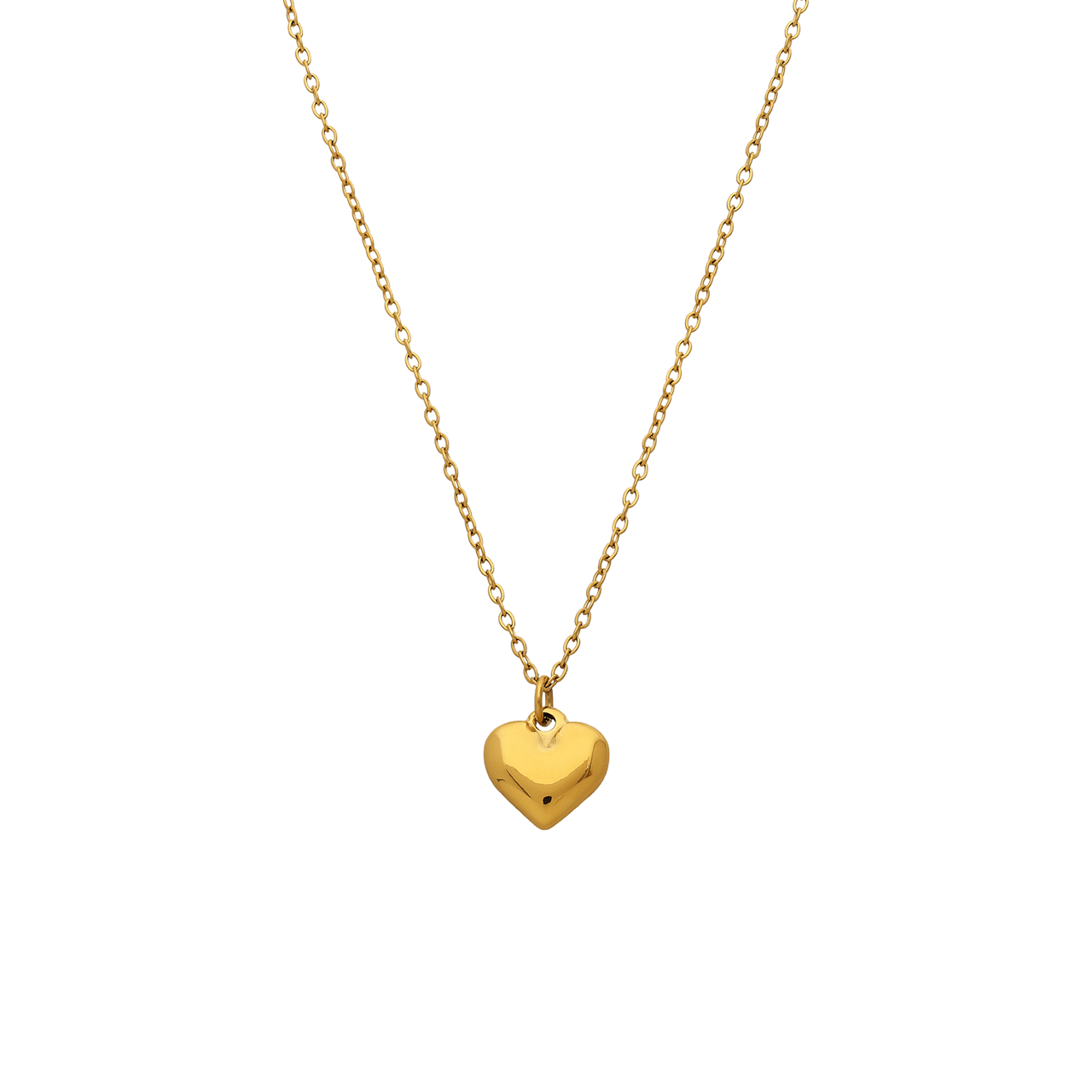 Stainless steel ketting met hanger voor dames