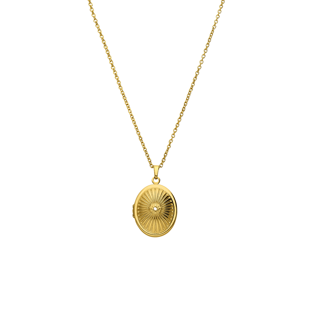Stainless steel ketting met medaillon ovaal met zirkonia voor dames