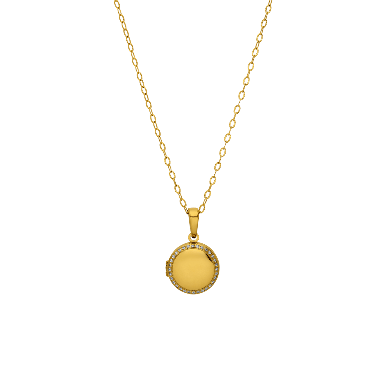 Stainless steel ketting met medaillon met zirkonia voor dames