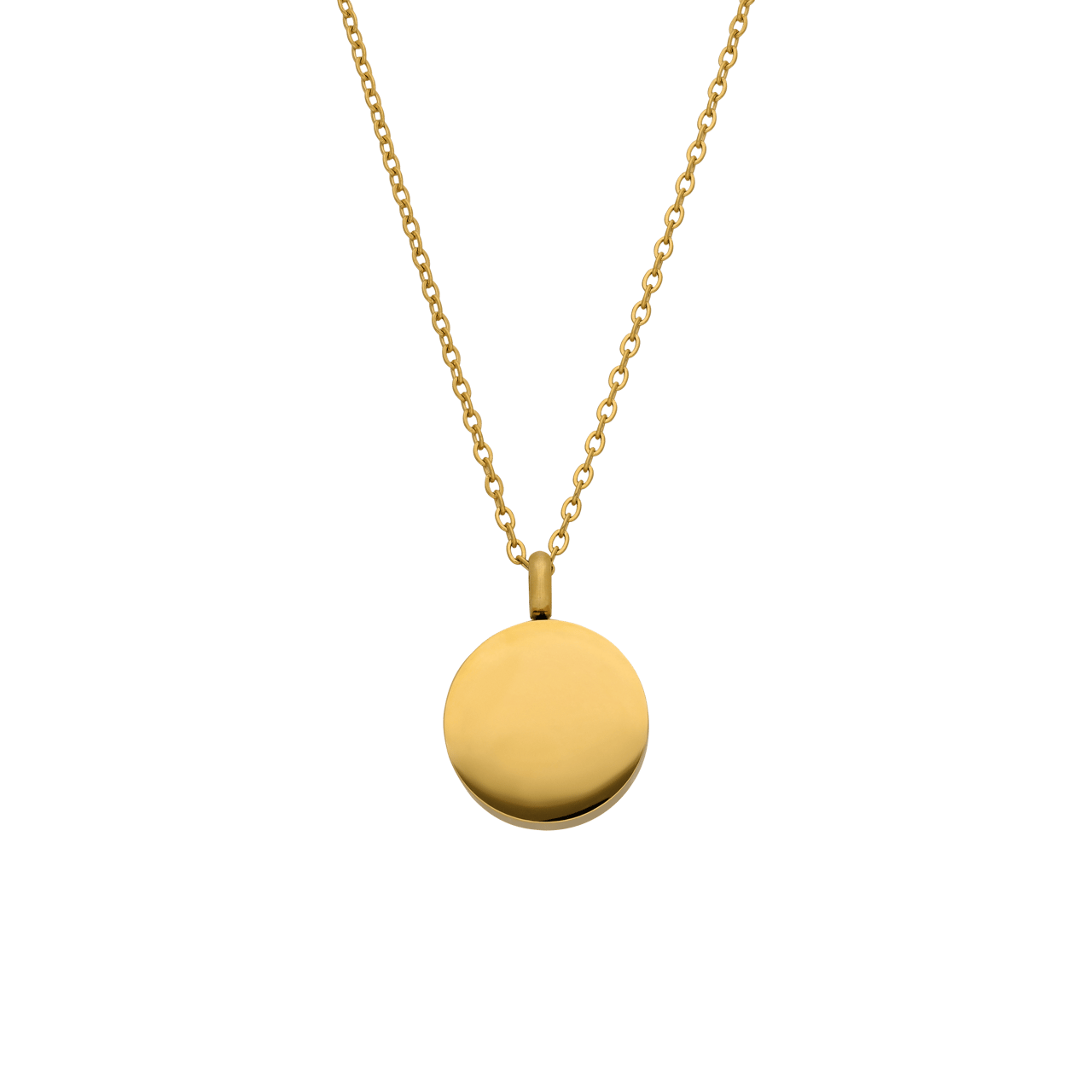 Stainless steel goldplated ketting met hanger ashanger