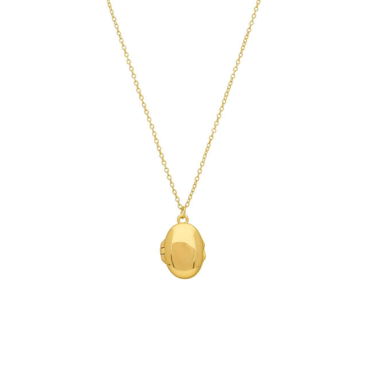 Zilveren ketting met hanger medaillon voor dames